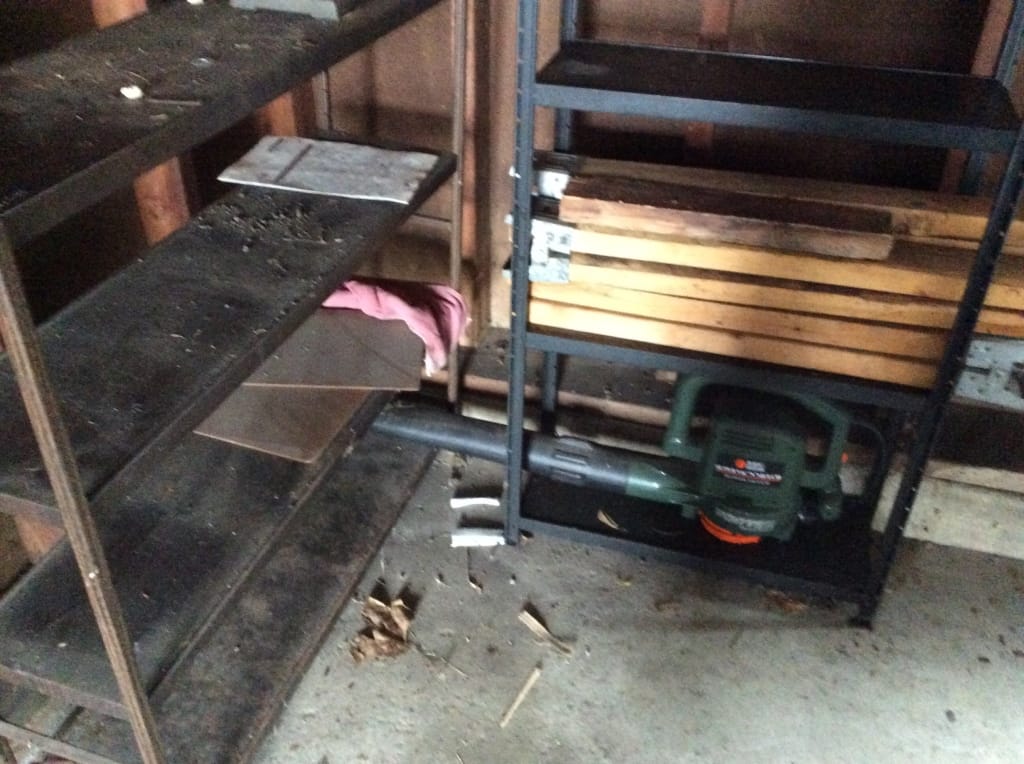 Online Bidding Only!