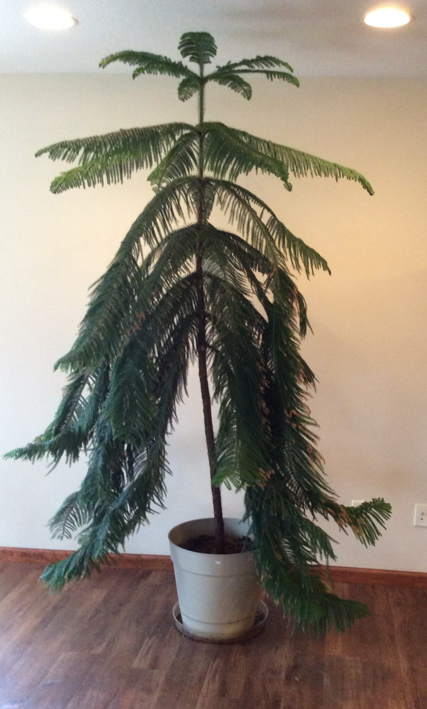 ONLINE ONLY PERSONAL PROPERTY!