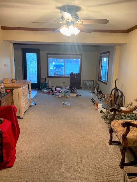 Real Estate Pictures