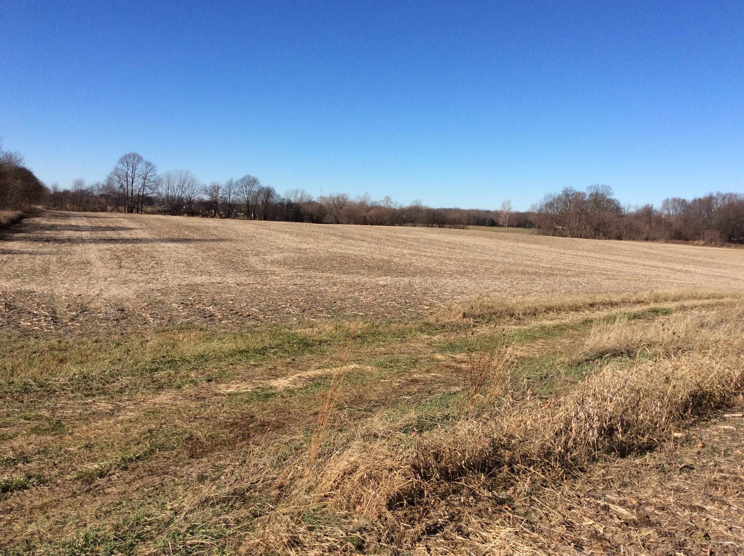 Real Estate Pictures