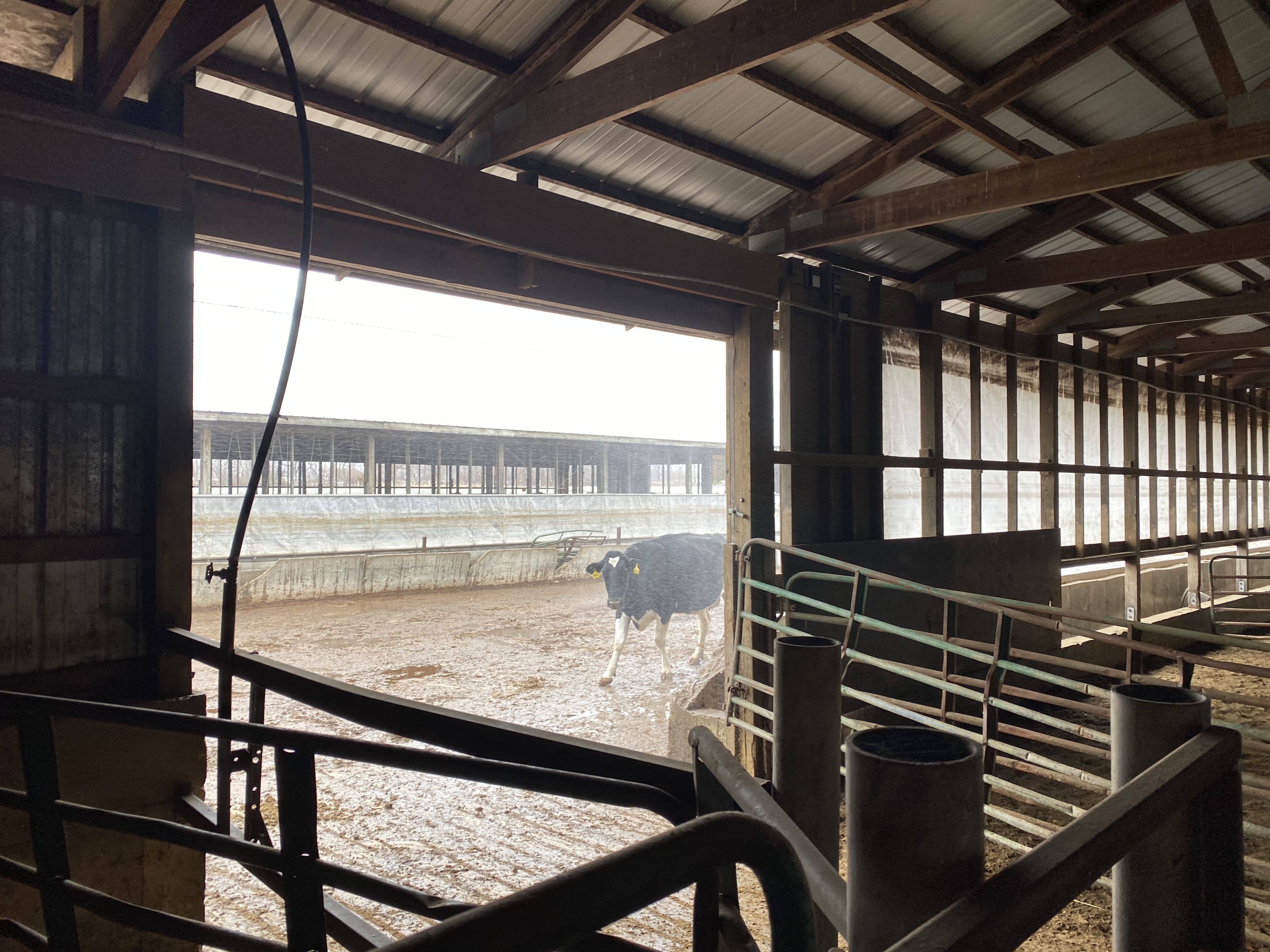 Dairy Facility Pictures