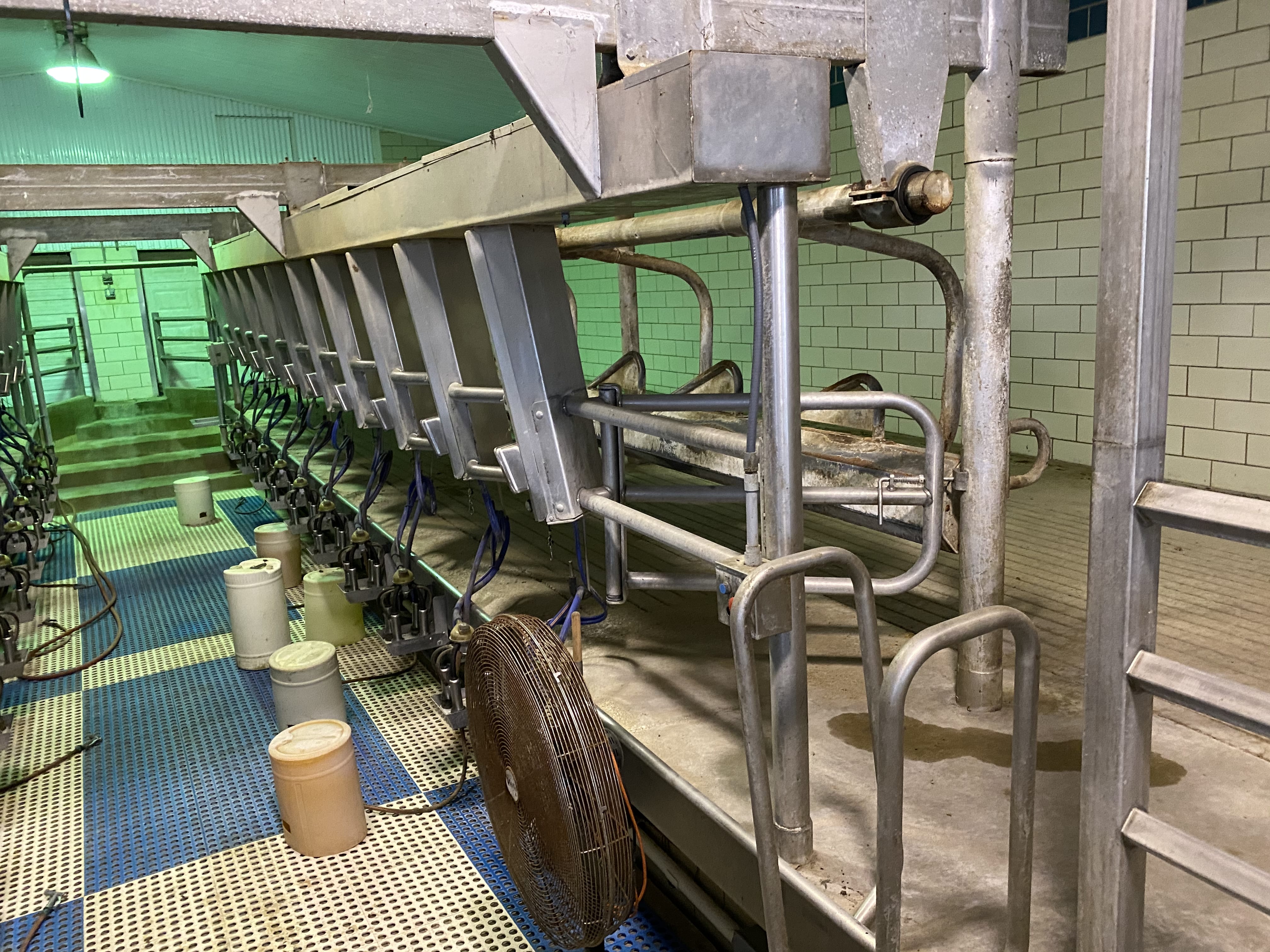 Dairy Facility Pictures