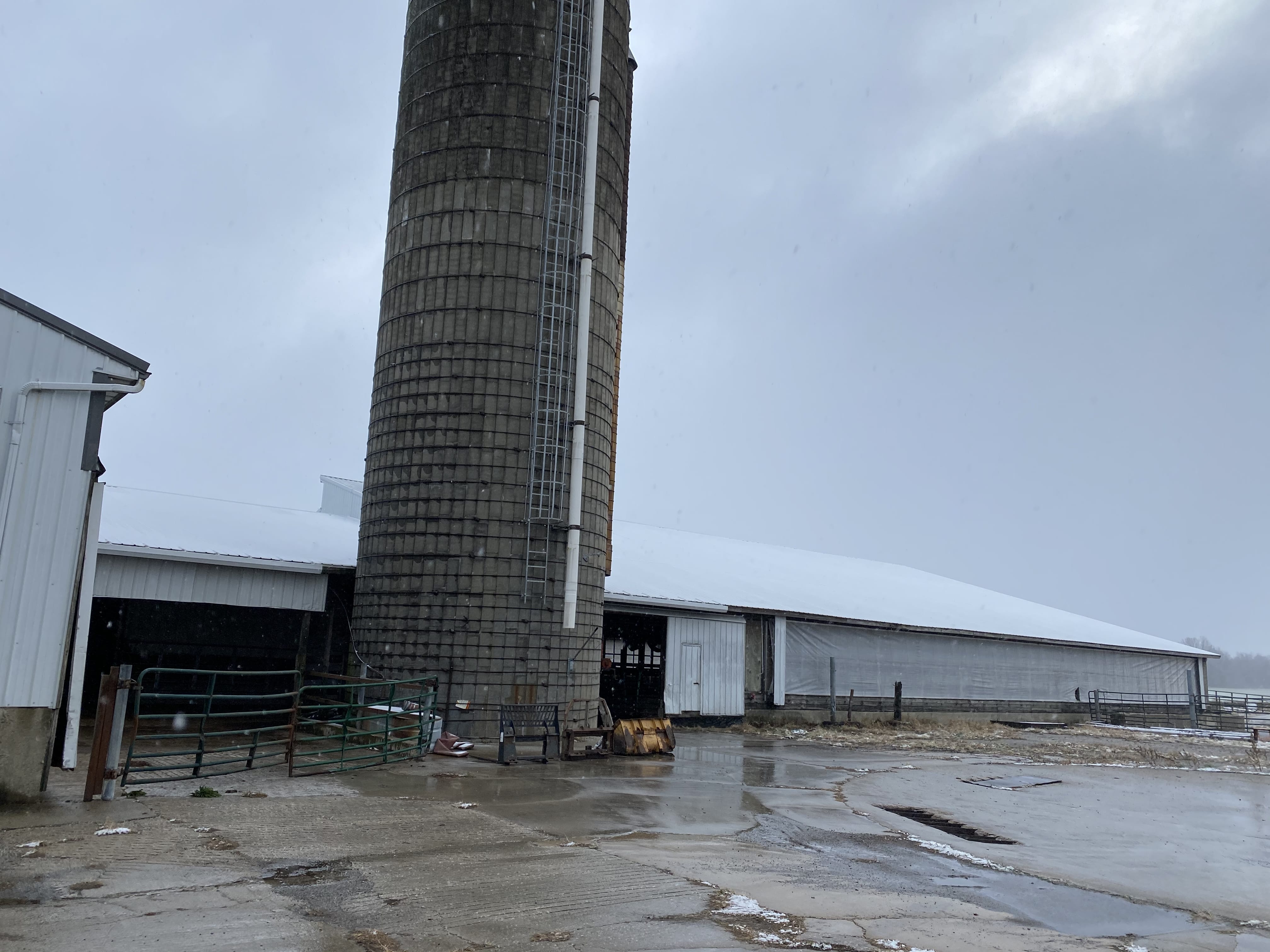 Dairy Facility Pictures