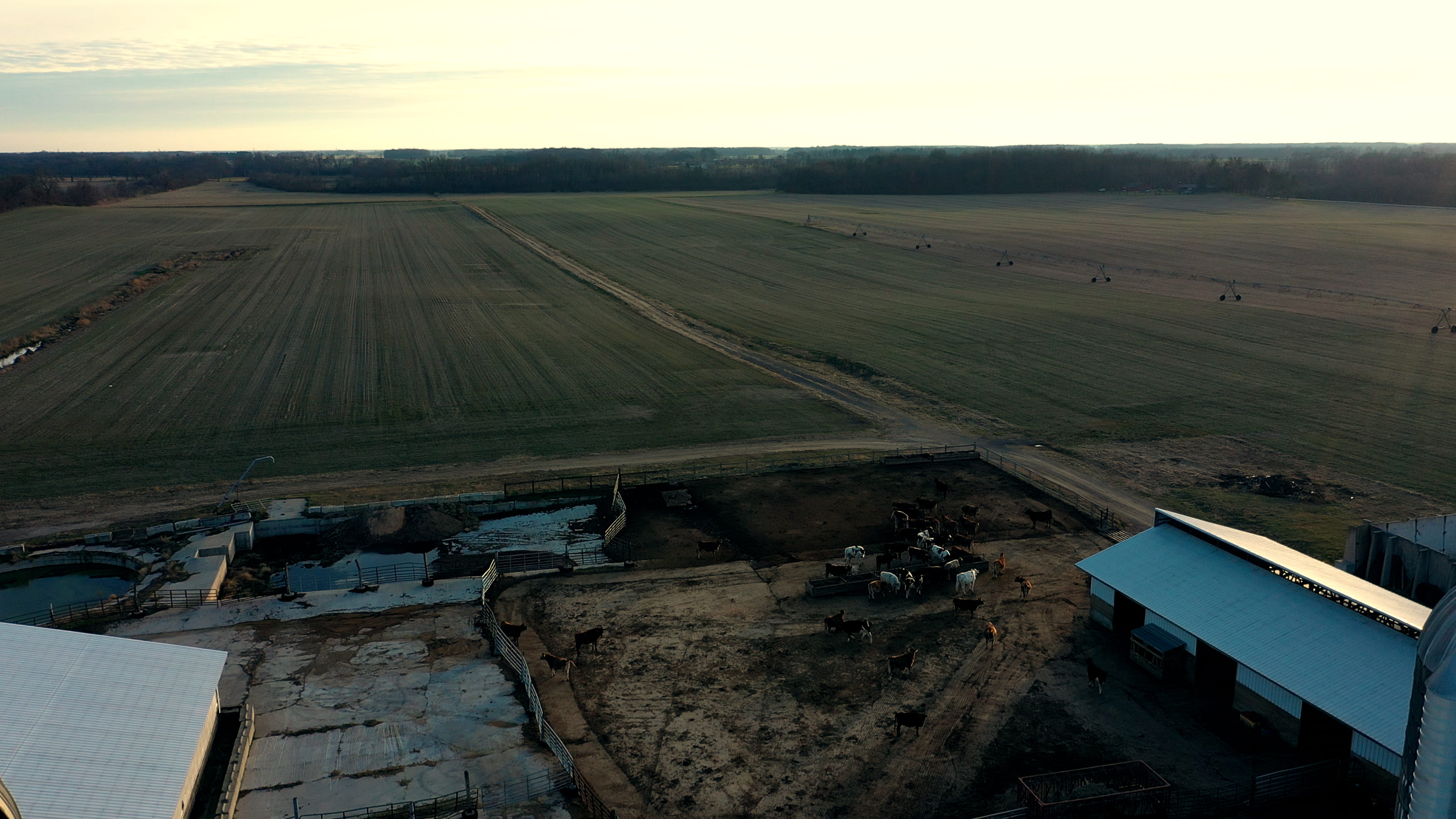 Dairy Facility Pictures