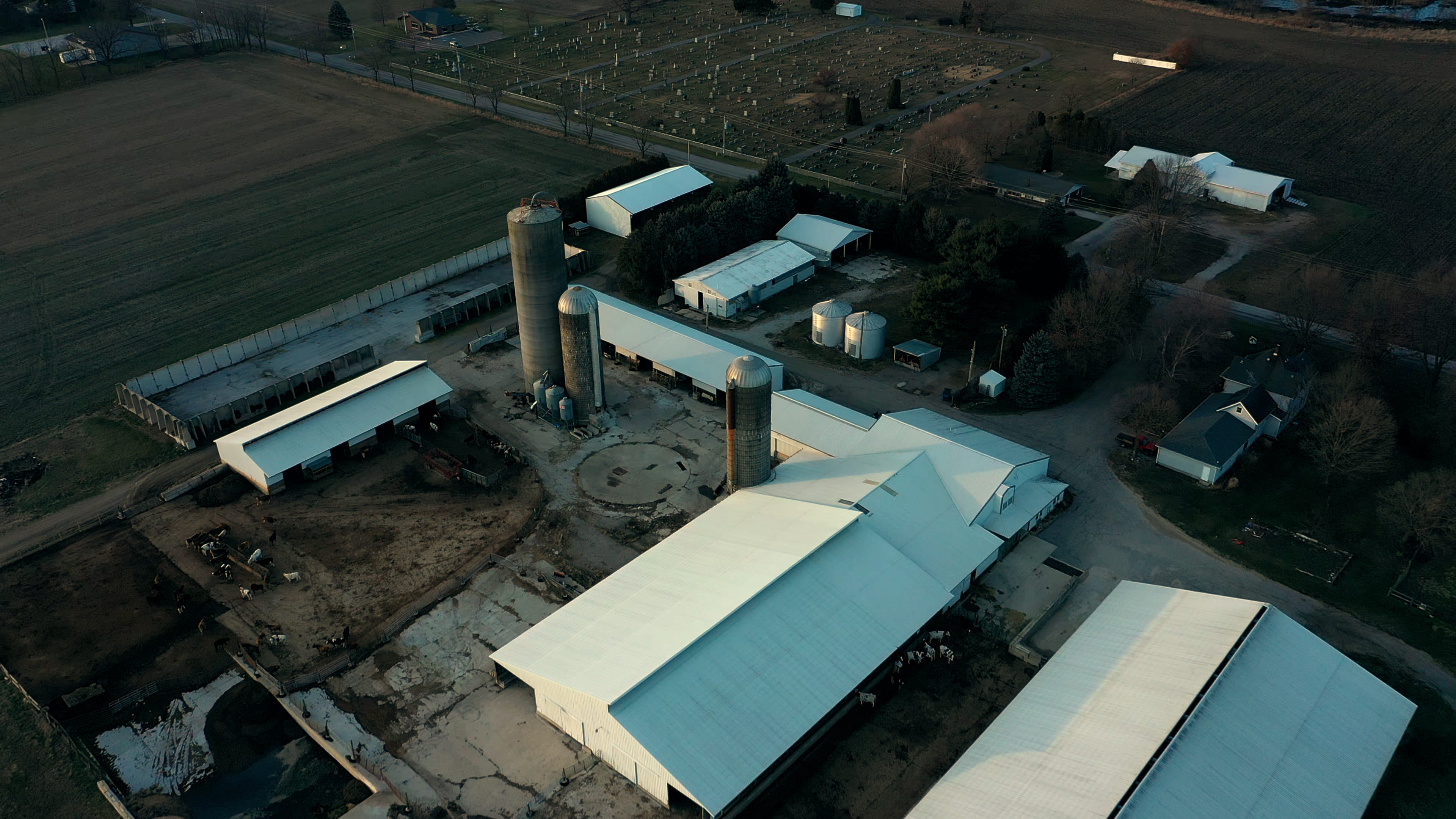 Dairy Facility Pictures