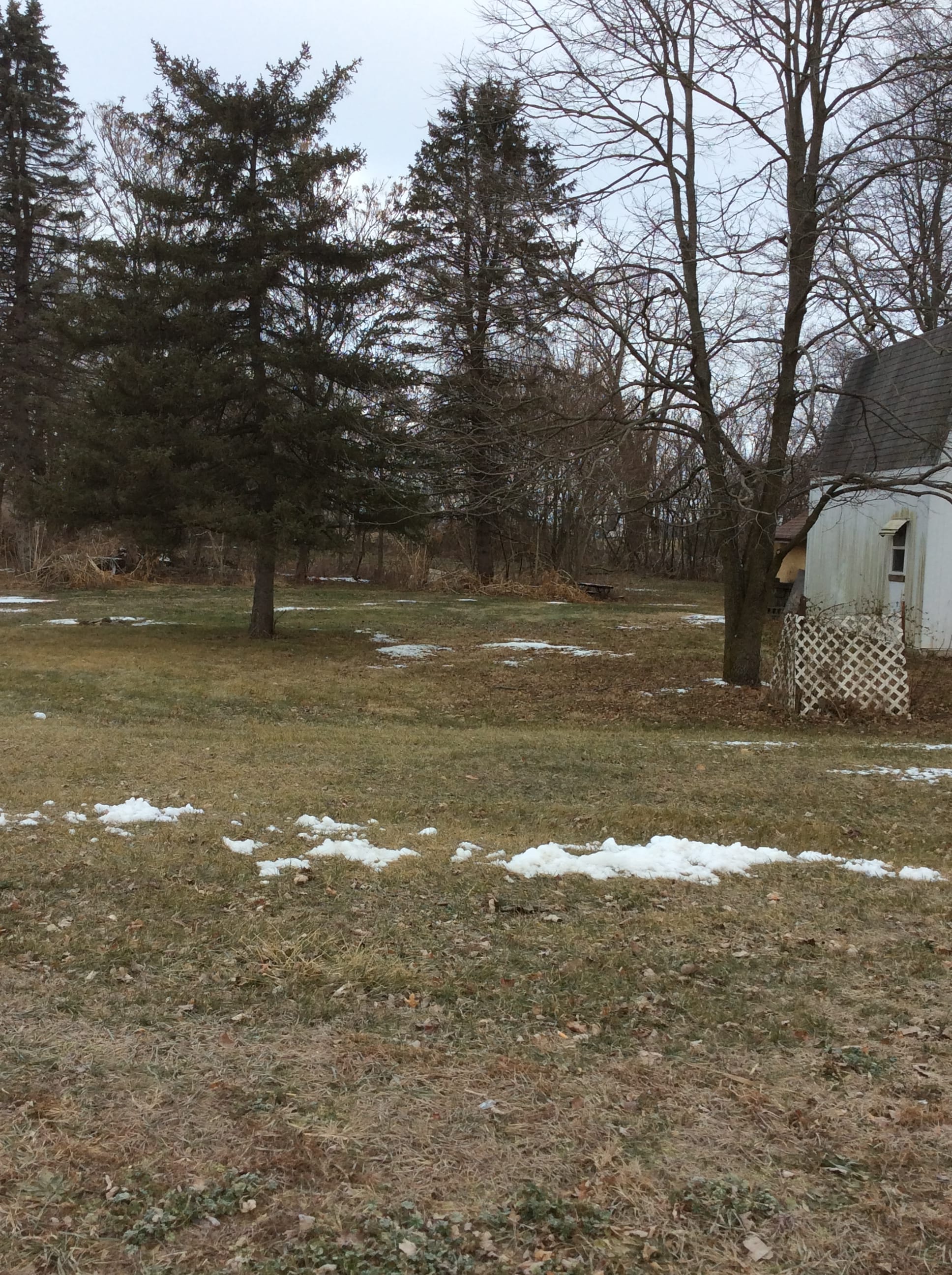 Real Estate Pictures