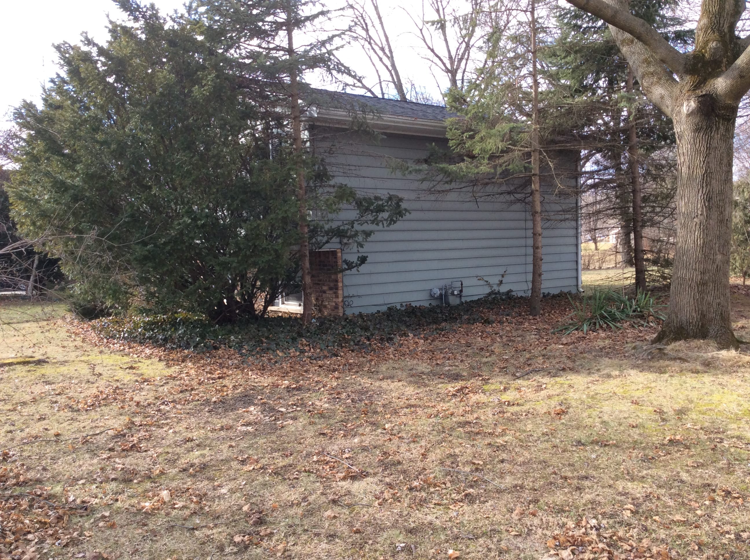 Real Estate Pictures