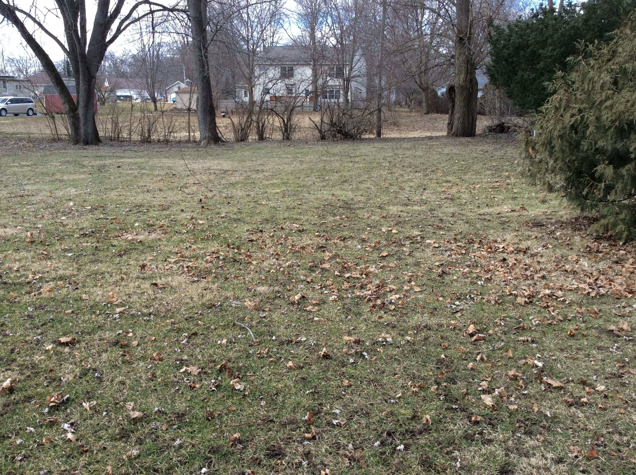 Real Estate Pictures