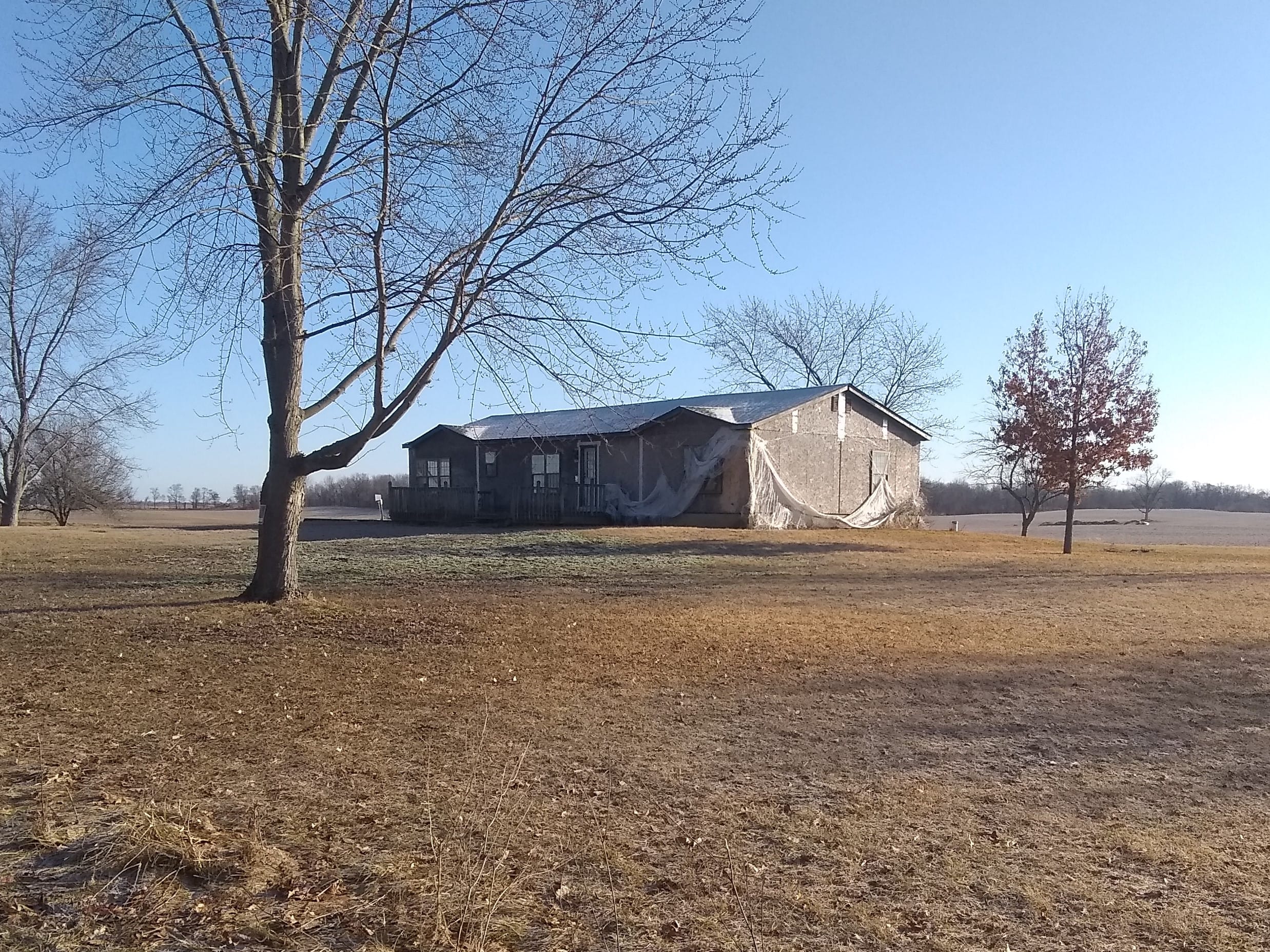 Real Estate Pictures