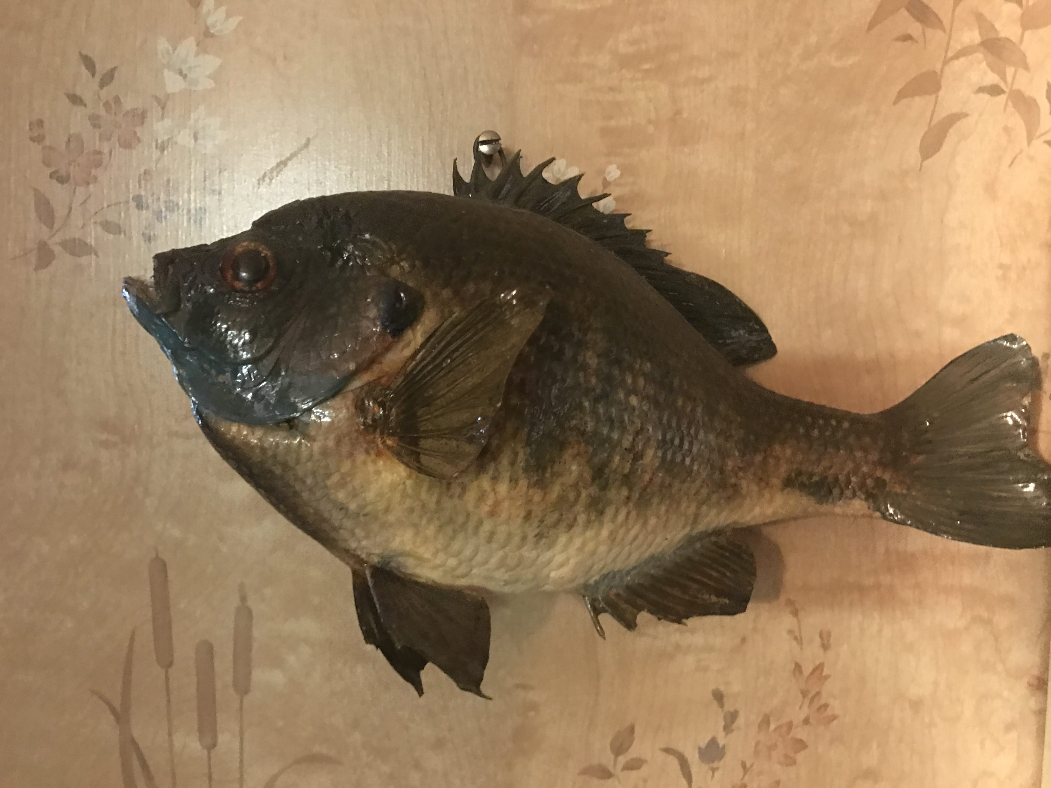 Personal Property Pictures