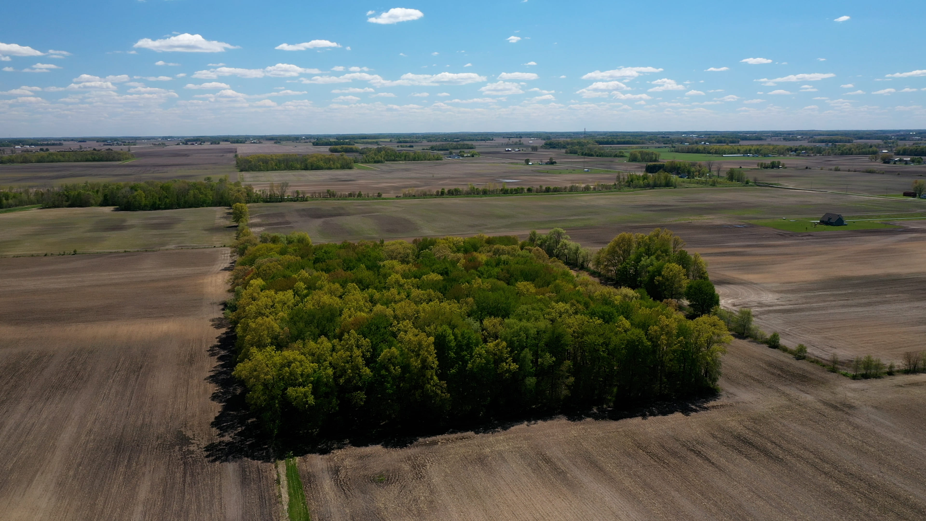 Real Estate Pictures