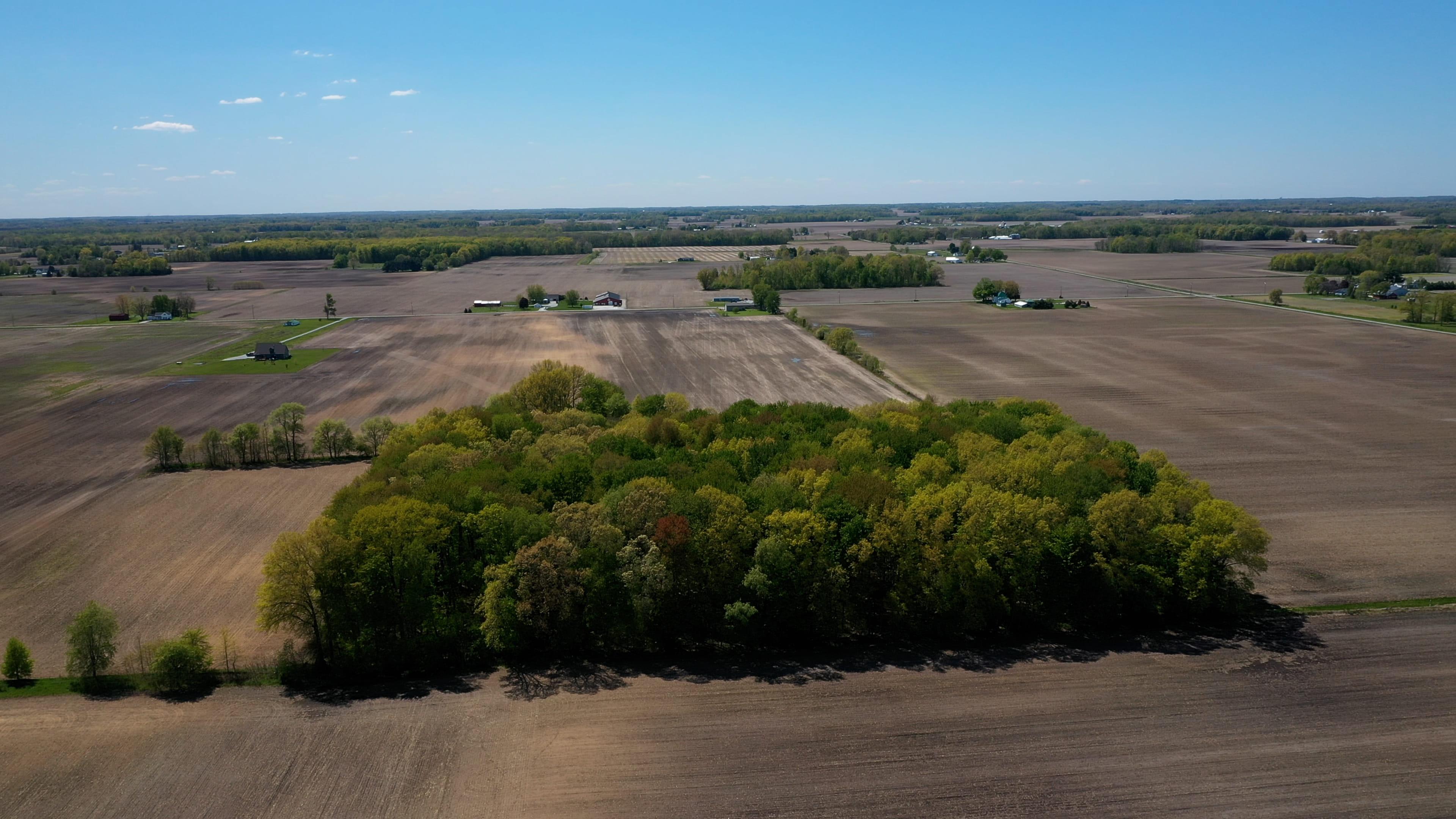 Real Estate Pictures