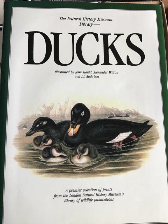 500+ LOTS OF CROCKS-PRIMITIVES-GLASS-POTTERY & MORE!