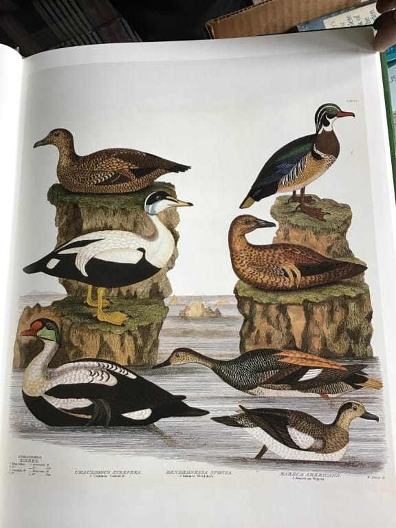 500+ LOTS OF CROCKS-PRIMITIVES-GLASS-POTTERY & MORE!