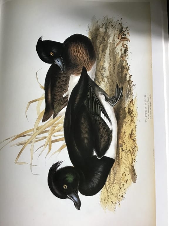 500+ LOTS OF CROCKS-PRIMITIVES-GLASS-POTTERY & MORE!