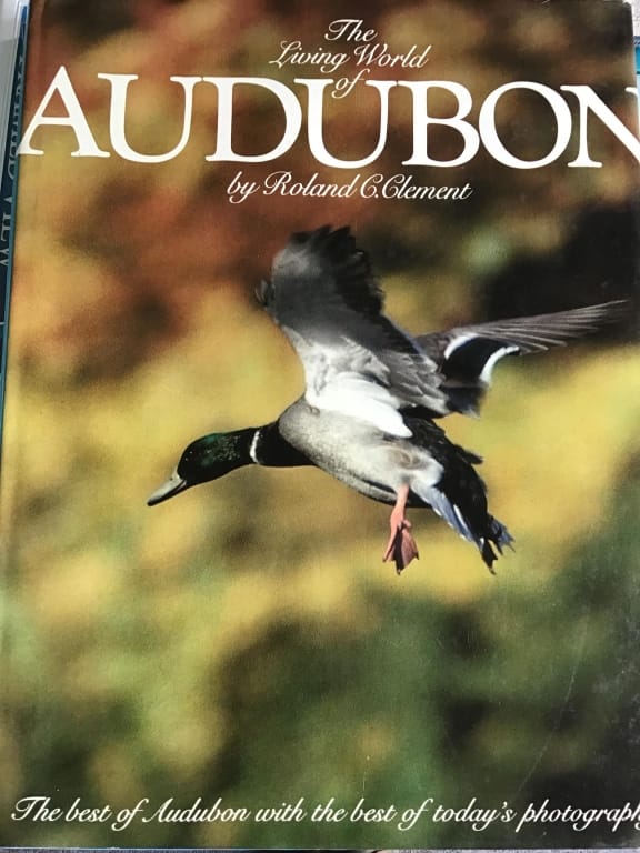 500+ LOTS OF CROCKS-PRIMITIVES-GLASS-POTTERY & MORE!