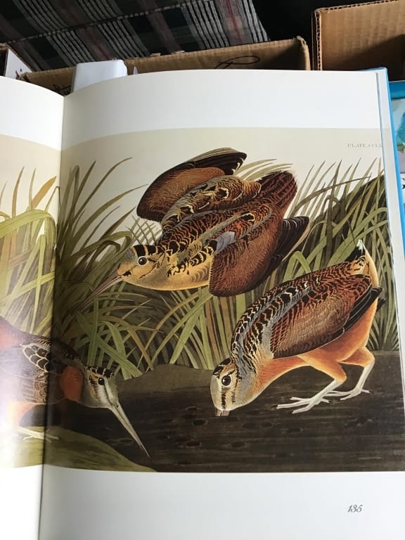 500+ LOTS OF CROCKS-PRIMITIVES-GLASS-POTTERY & MORE!