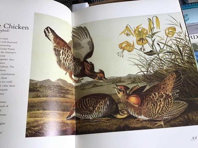 500+ LOTS OF CROCKS-PRIMITIVES-GLASS-POTTERY & MORE!