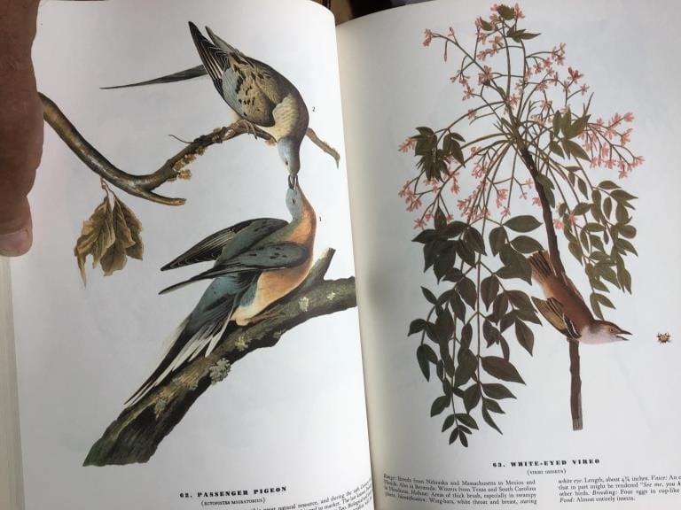 500+ LOTS OF CROCKS-PRIMITIVES-GLASS-POTTERY & MORE!