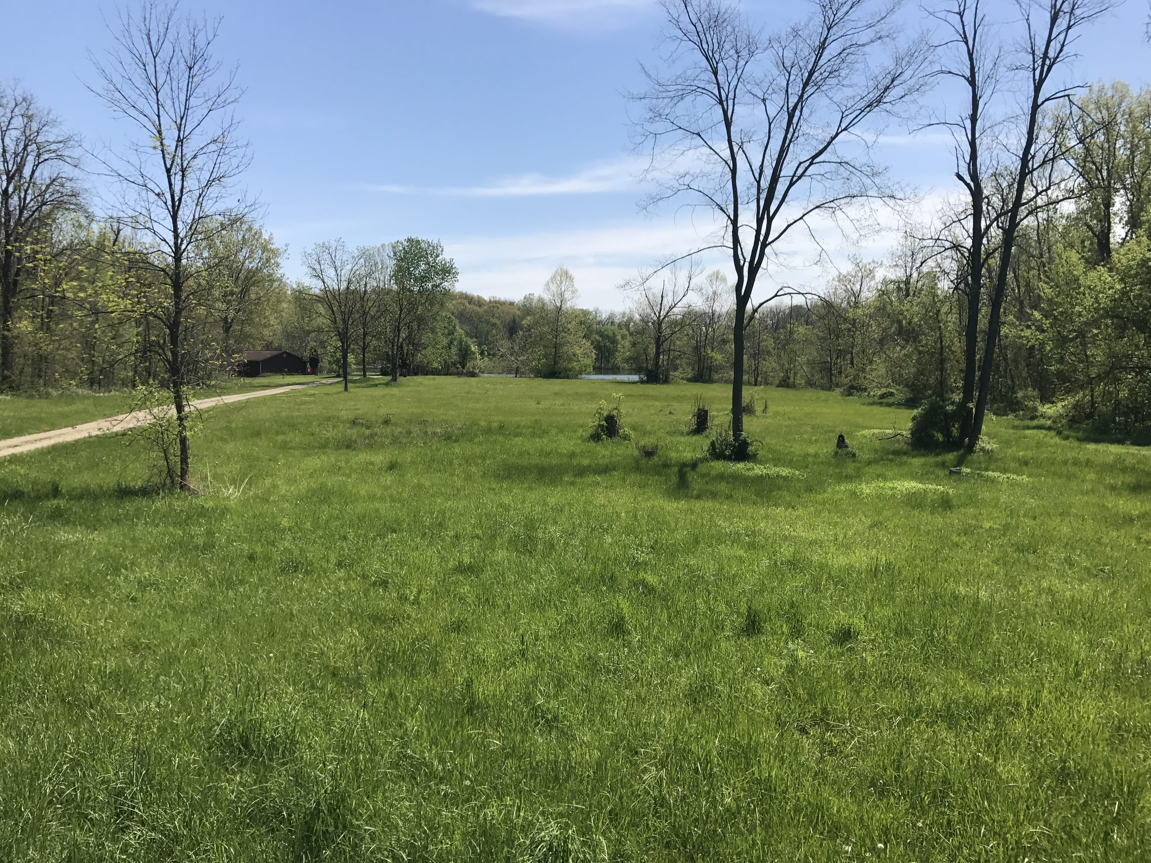 Real Estate Pictures