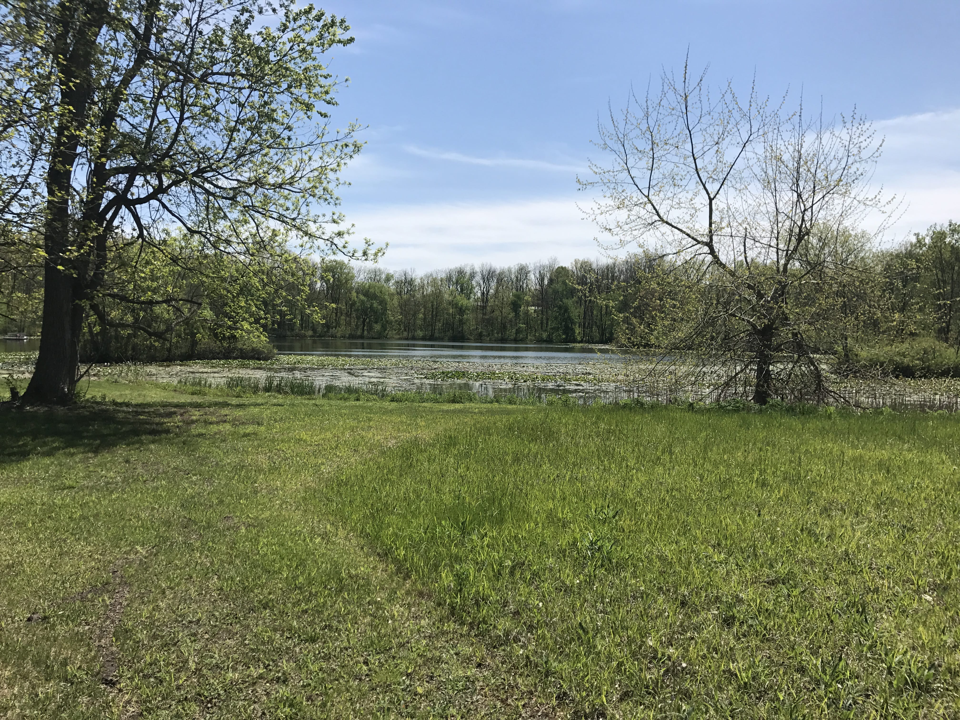 Real Estate Pictures