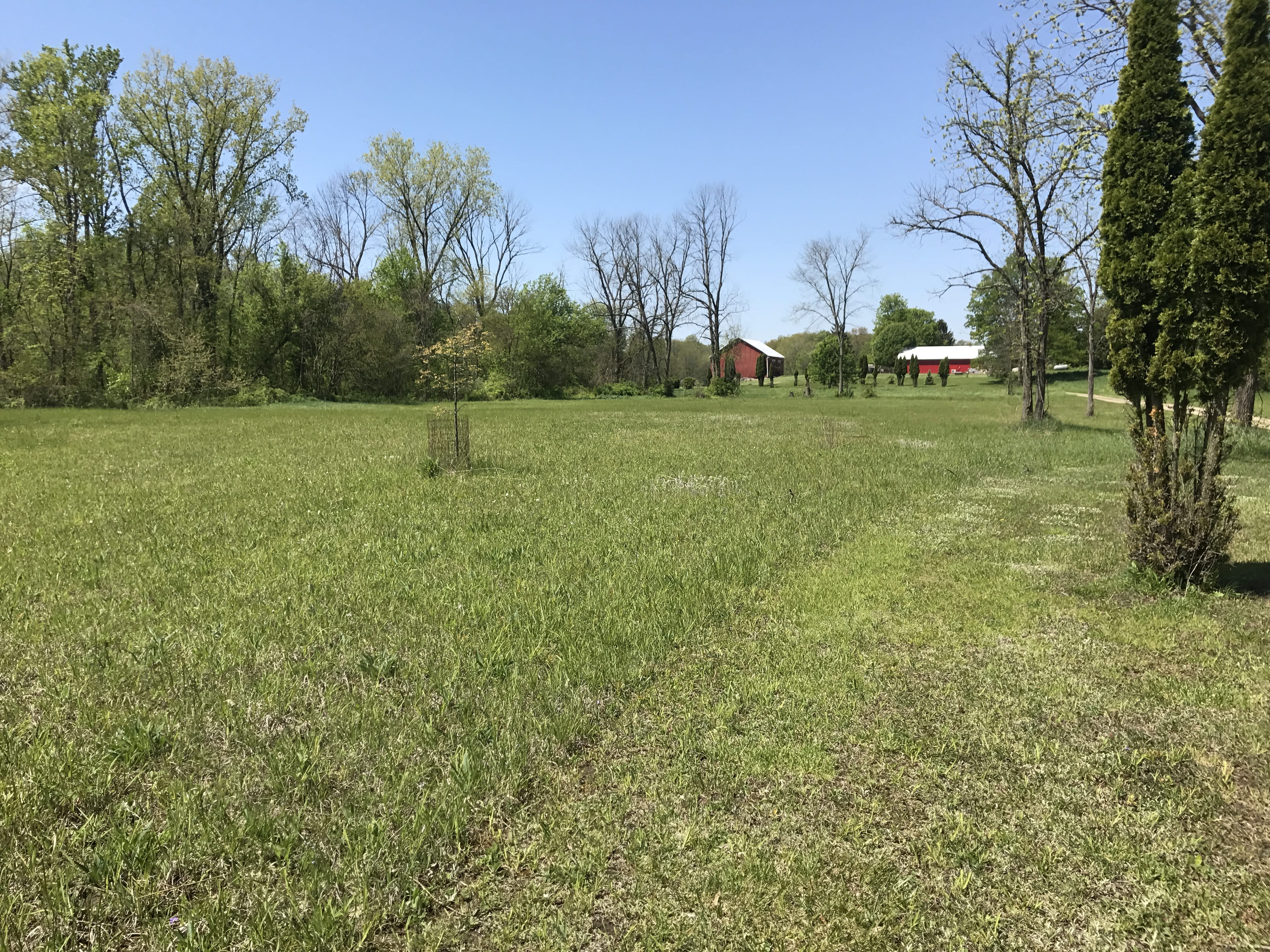 Real Estate Pictures