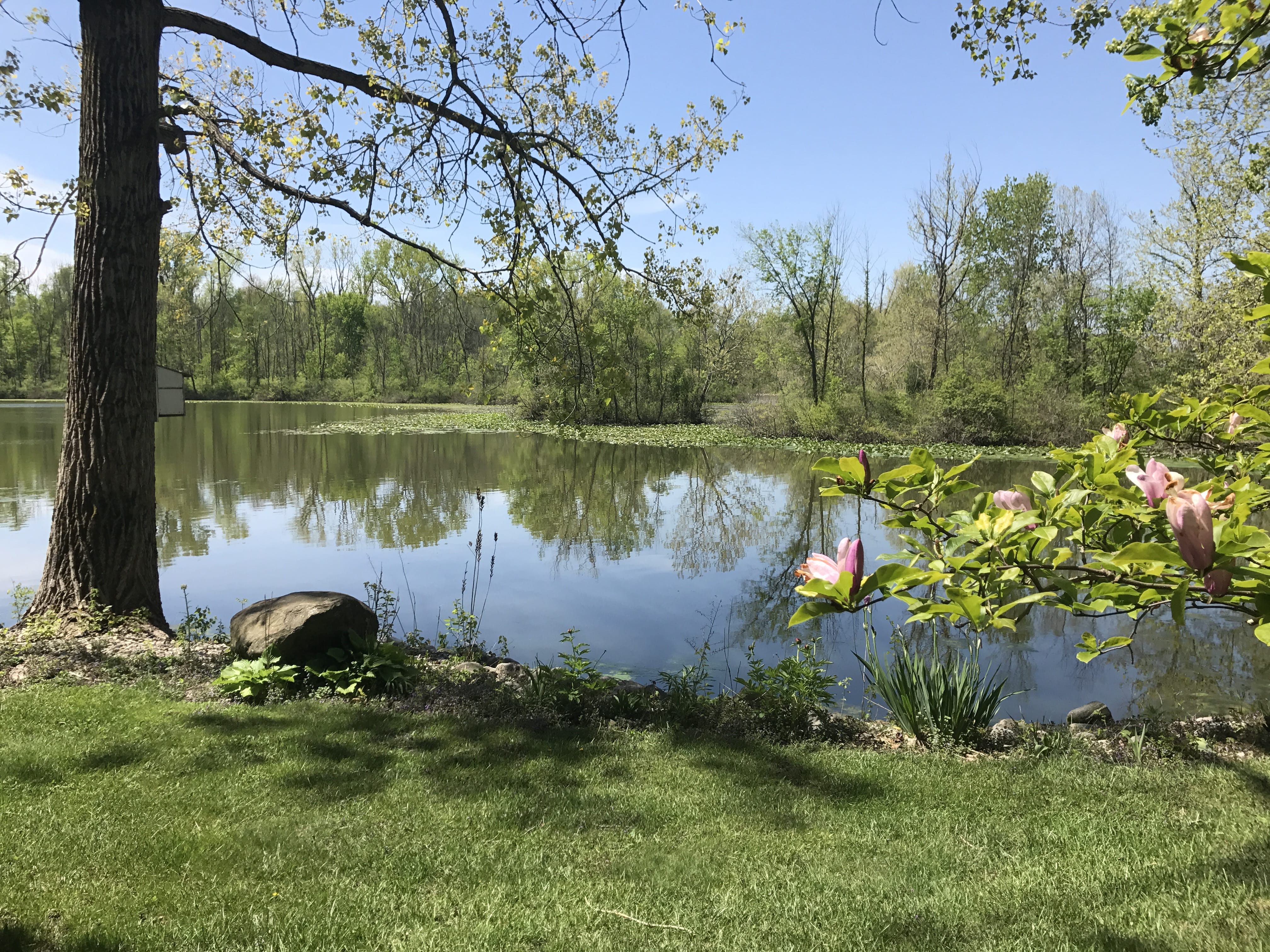 Real Estate Pictures