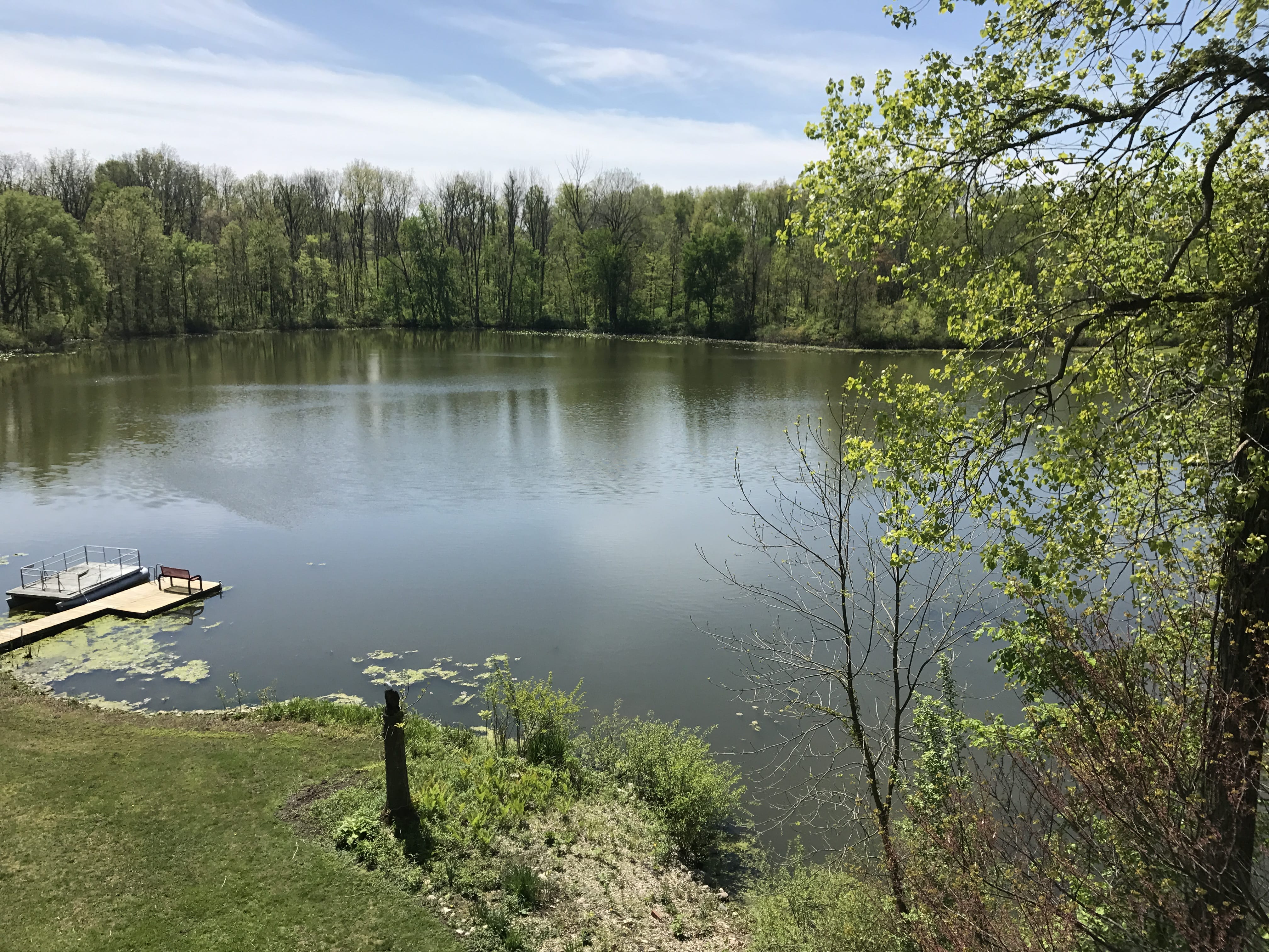 Real Estate Pictures