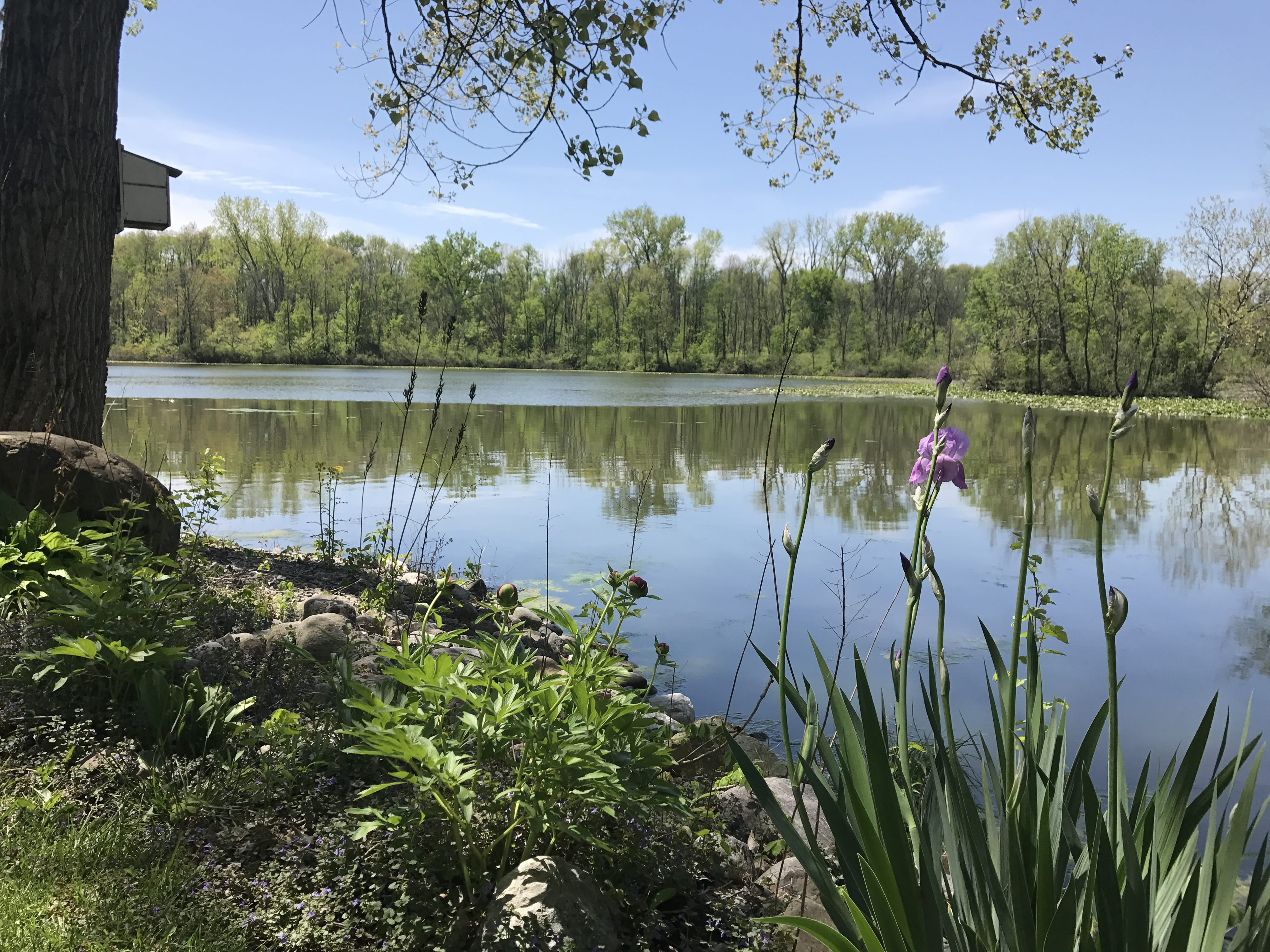 Real Estate Pictures