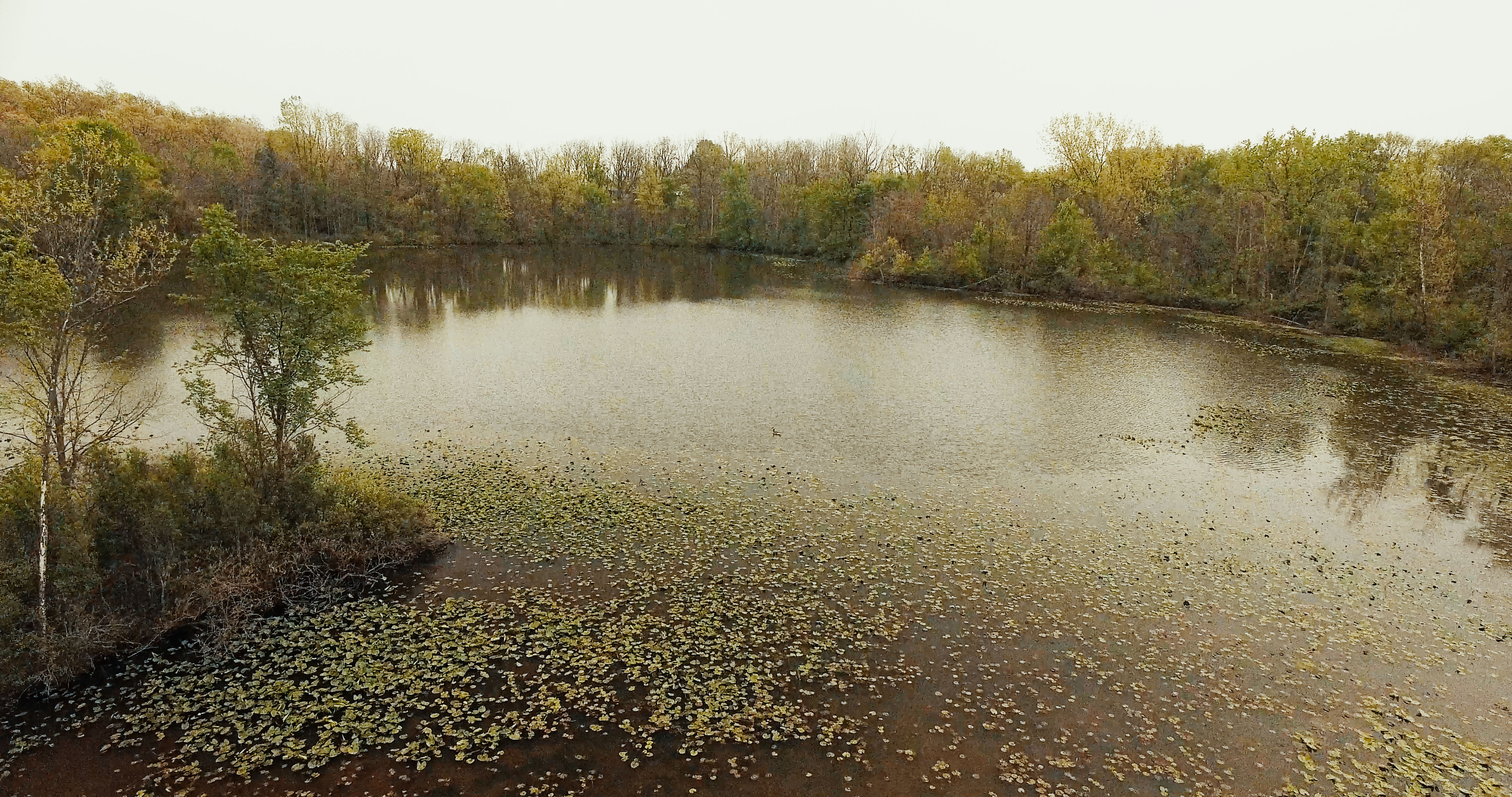 Real Estate Pictures