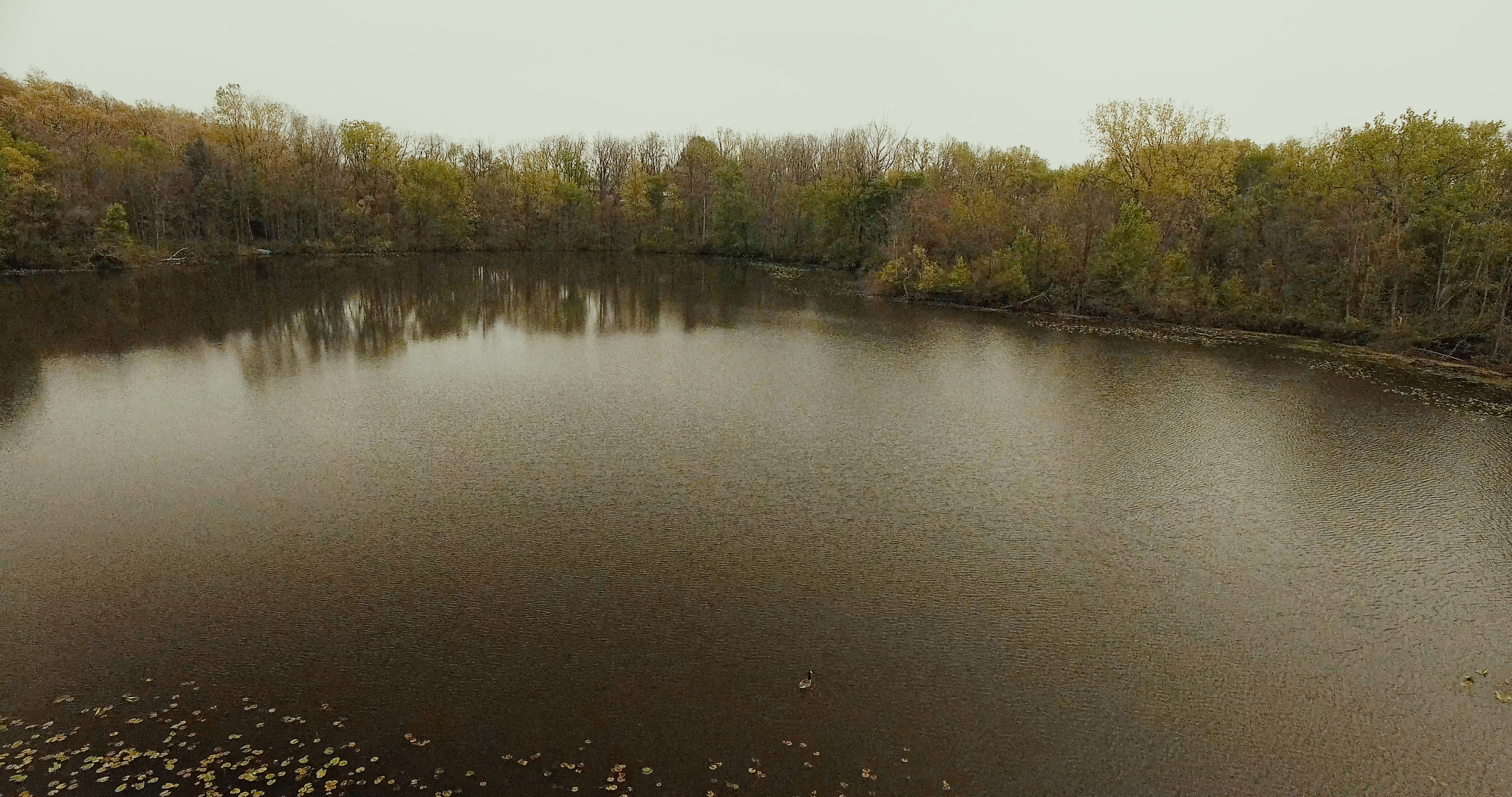 Real Estate Pictures