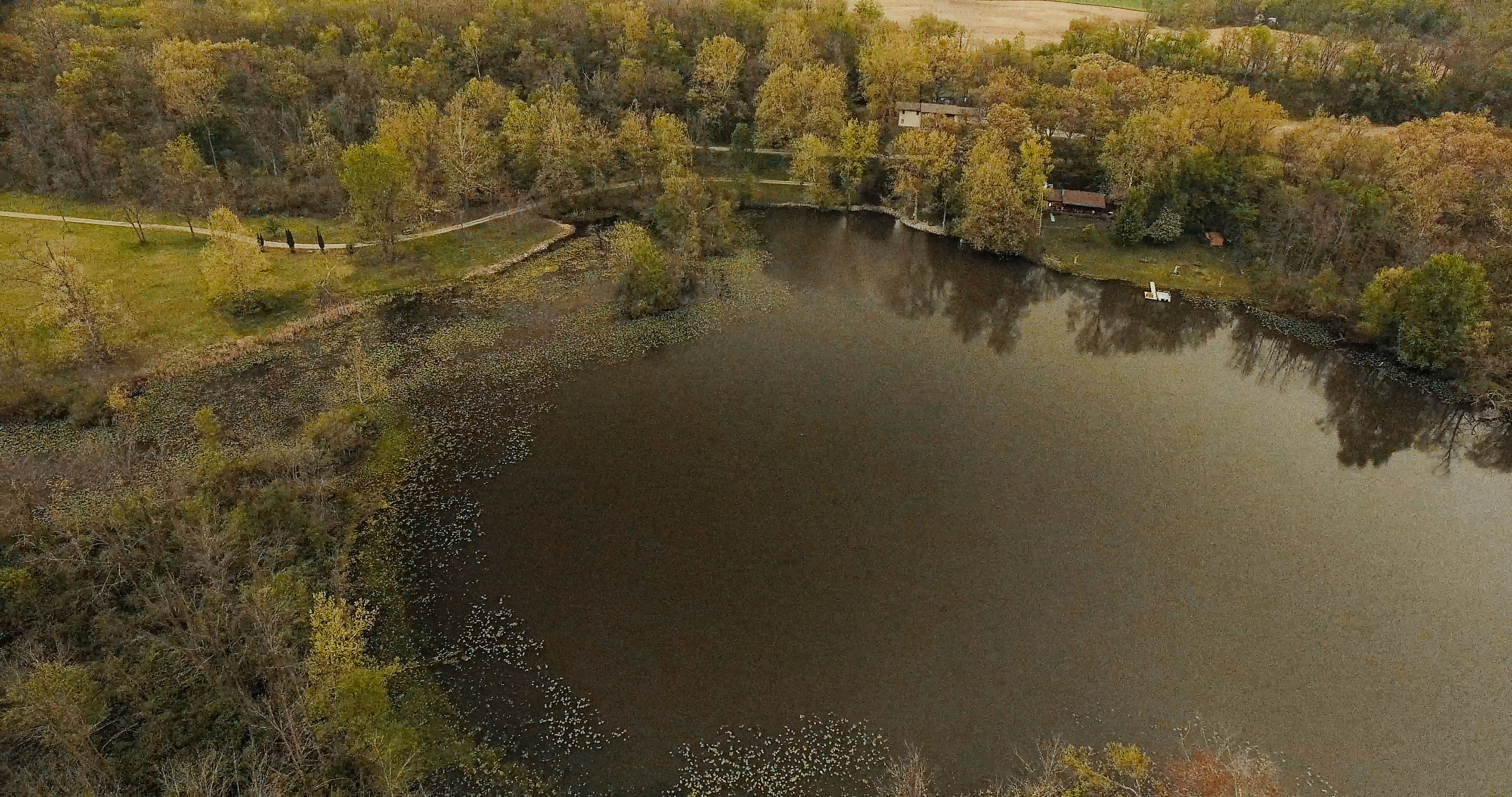 Real Estate Pictures