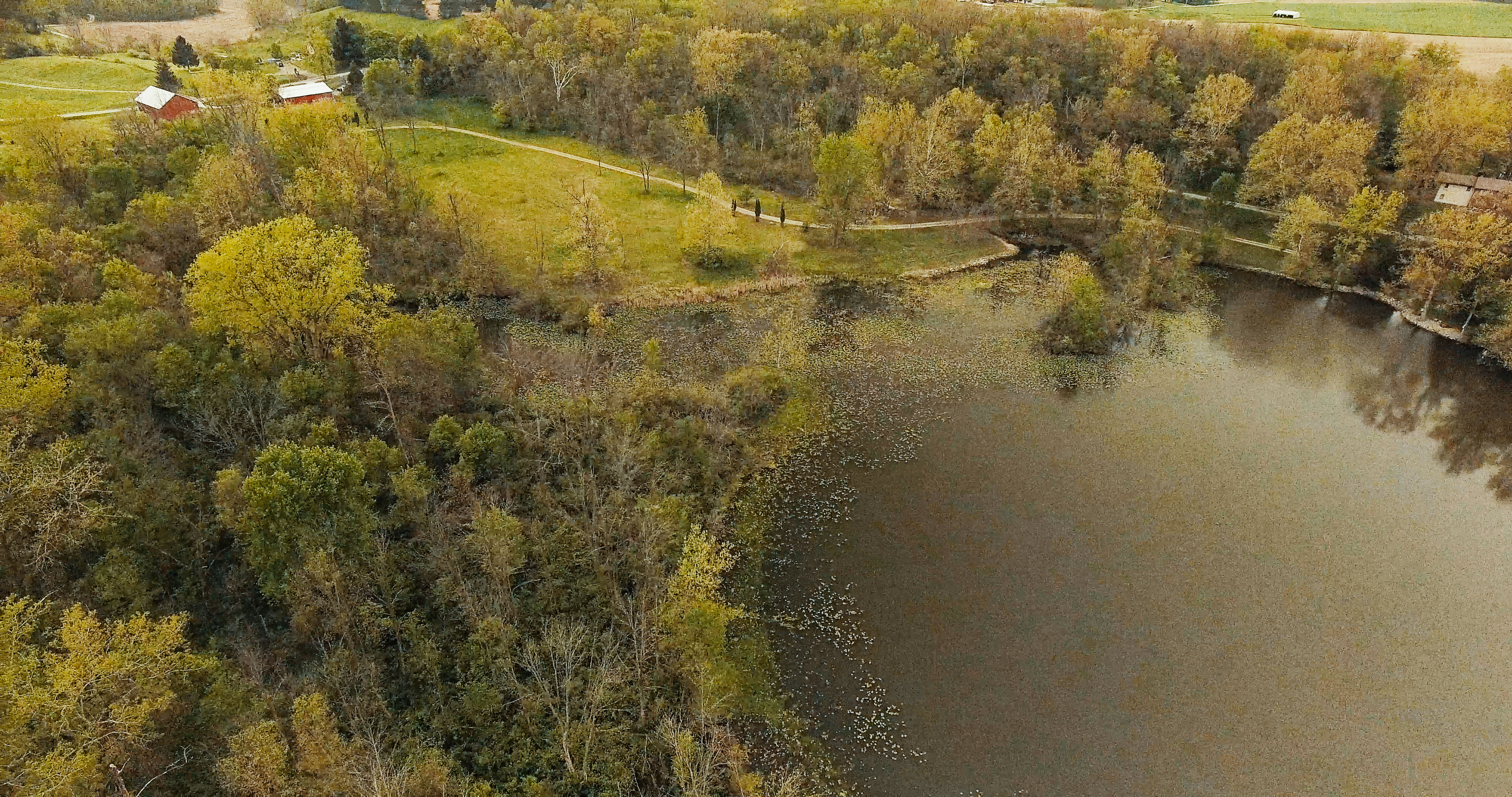 Real Estate Pictures