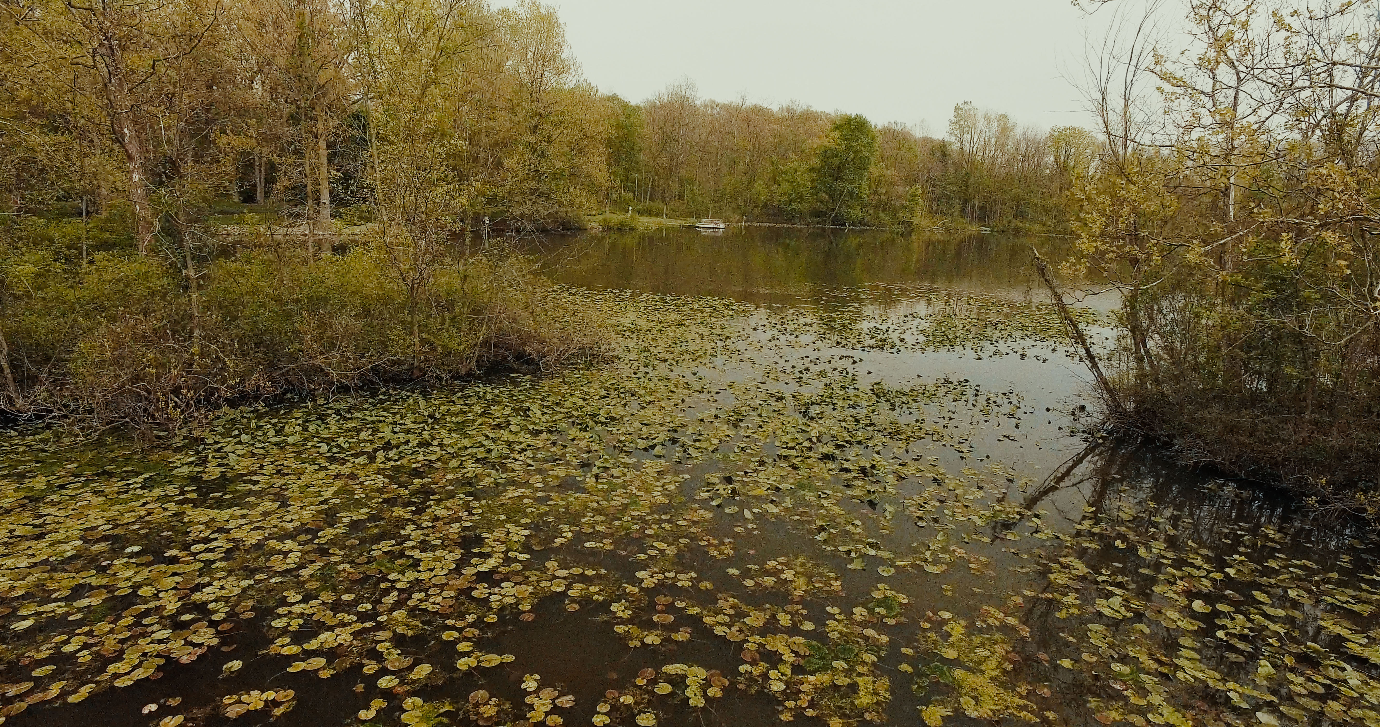 Real Estate Pictures