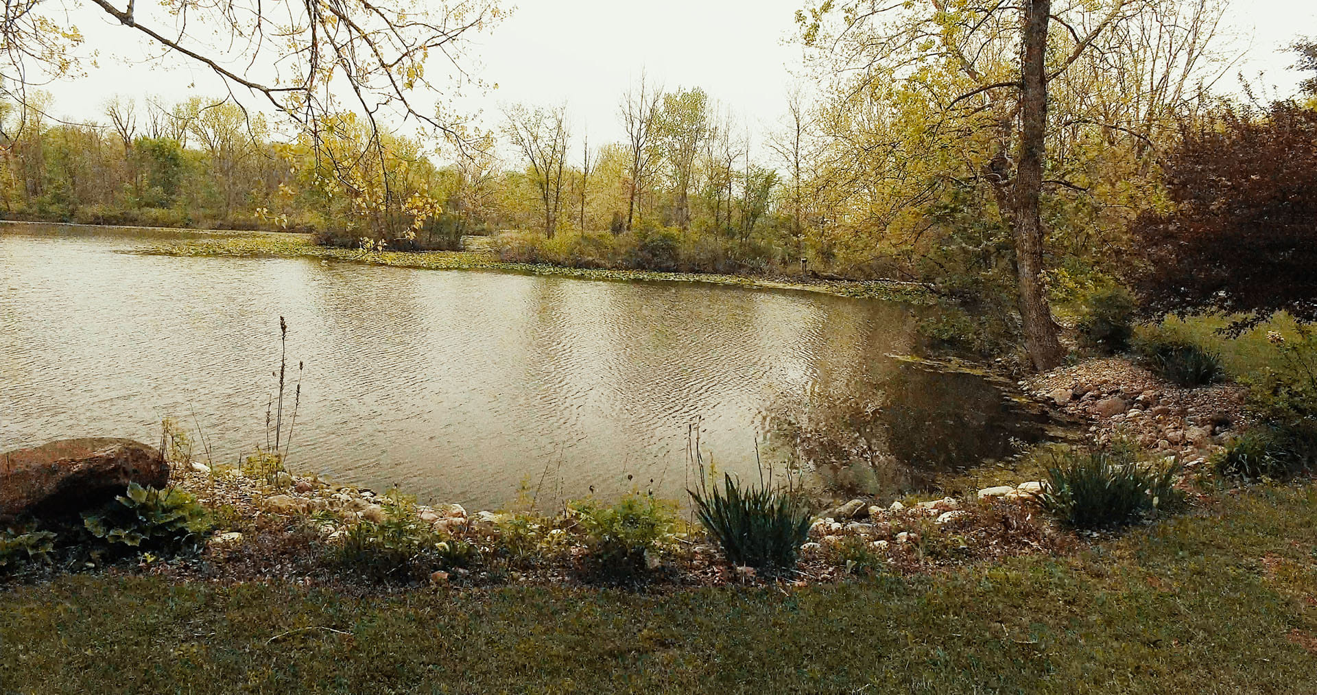 Real Estate Pictures