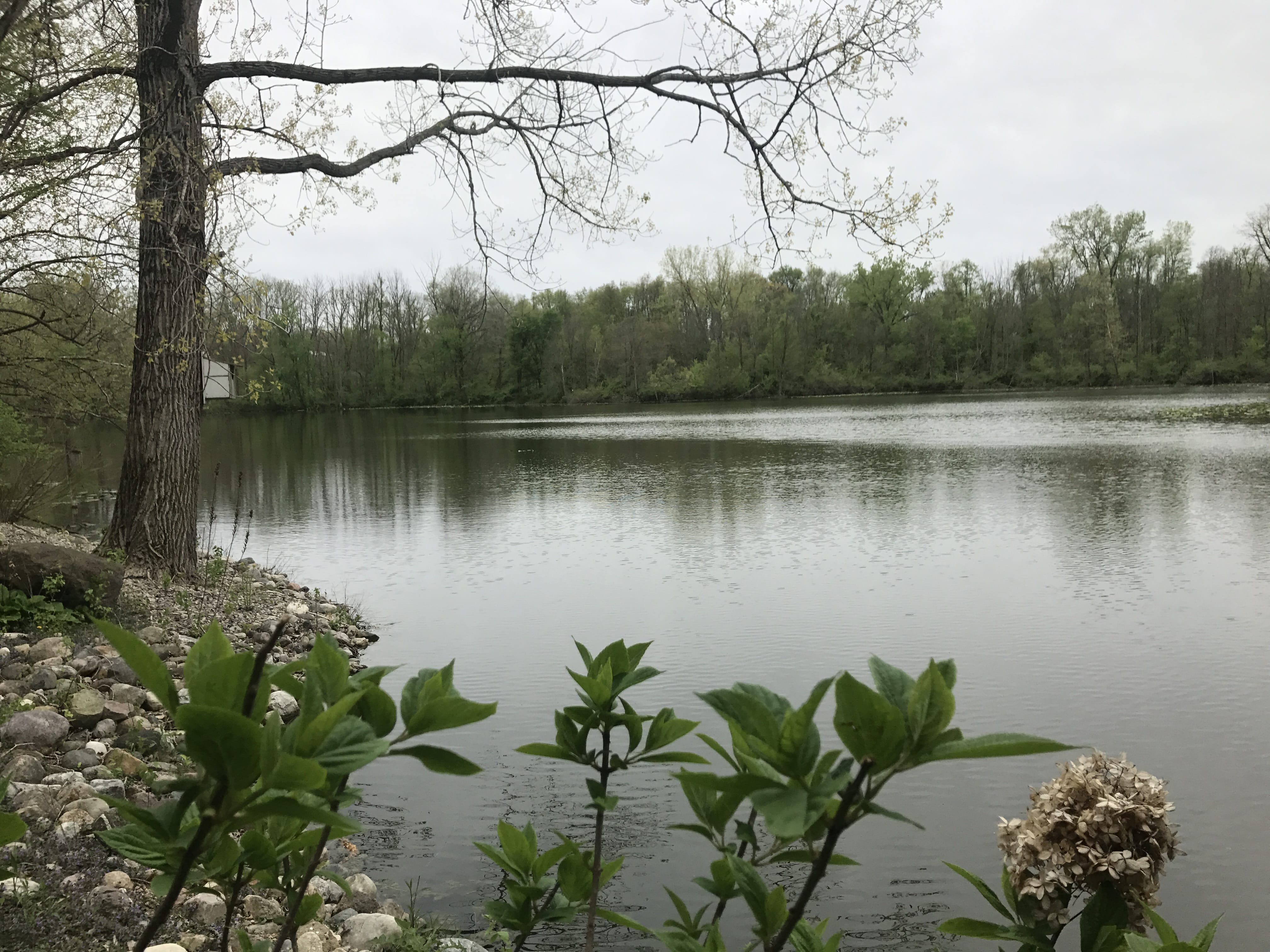 Real Estate Pictures