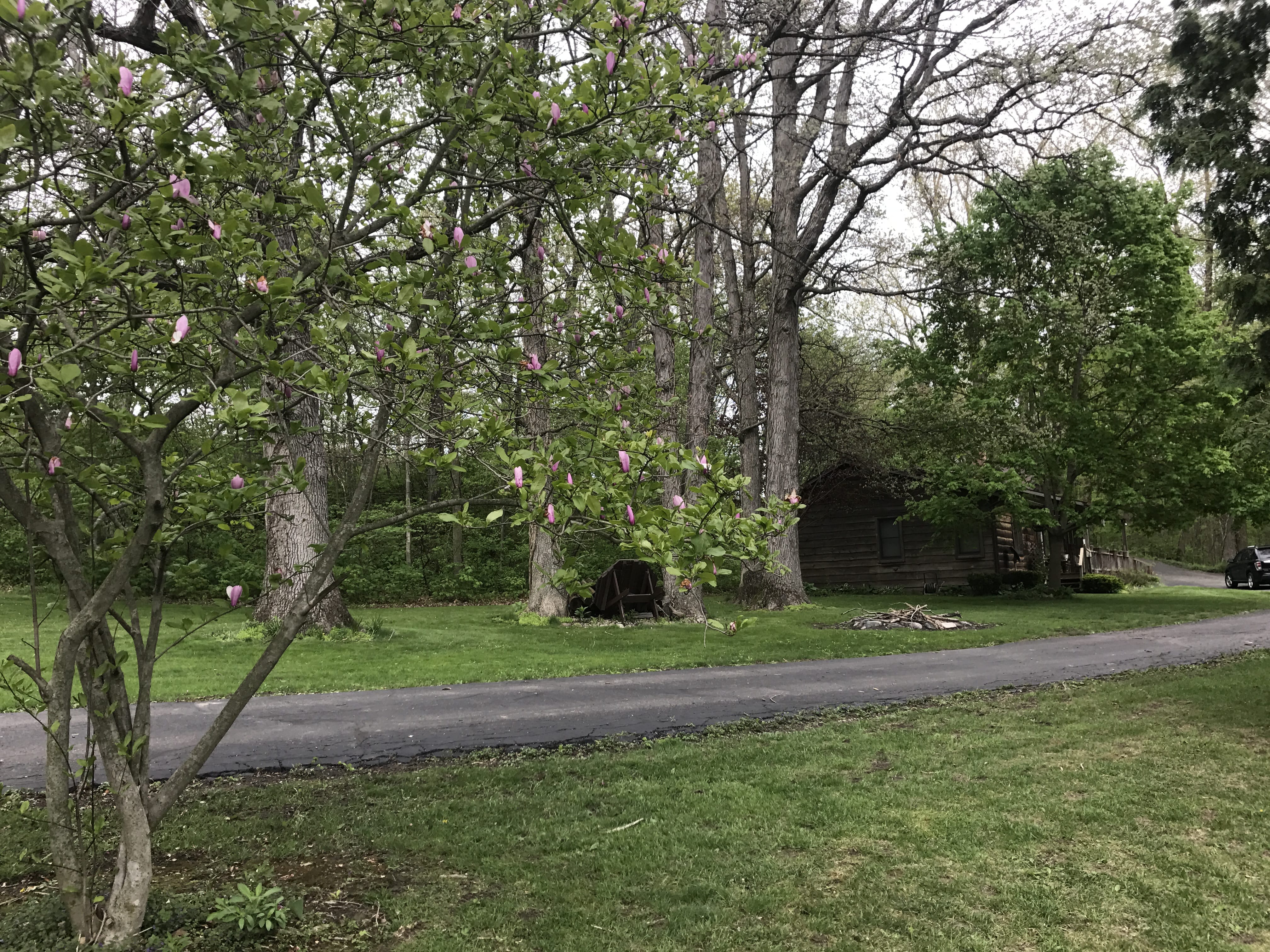 Real Estate Pictures