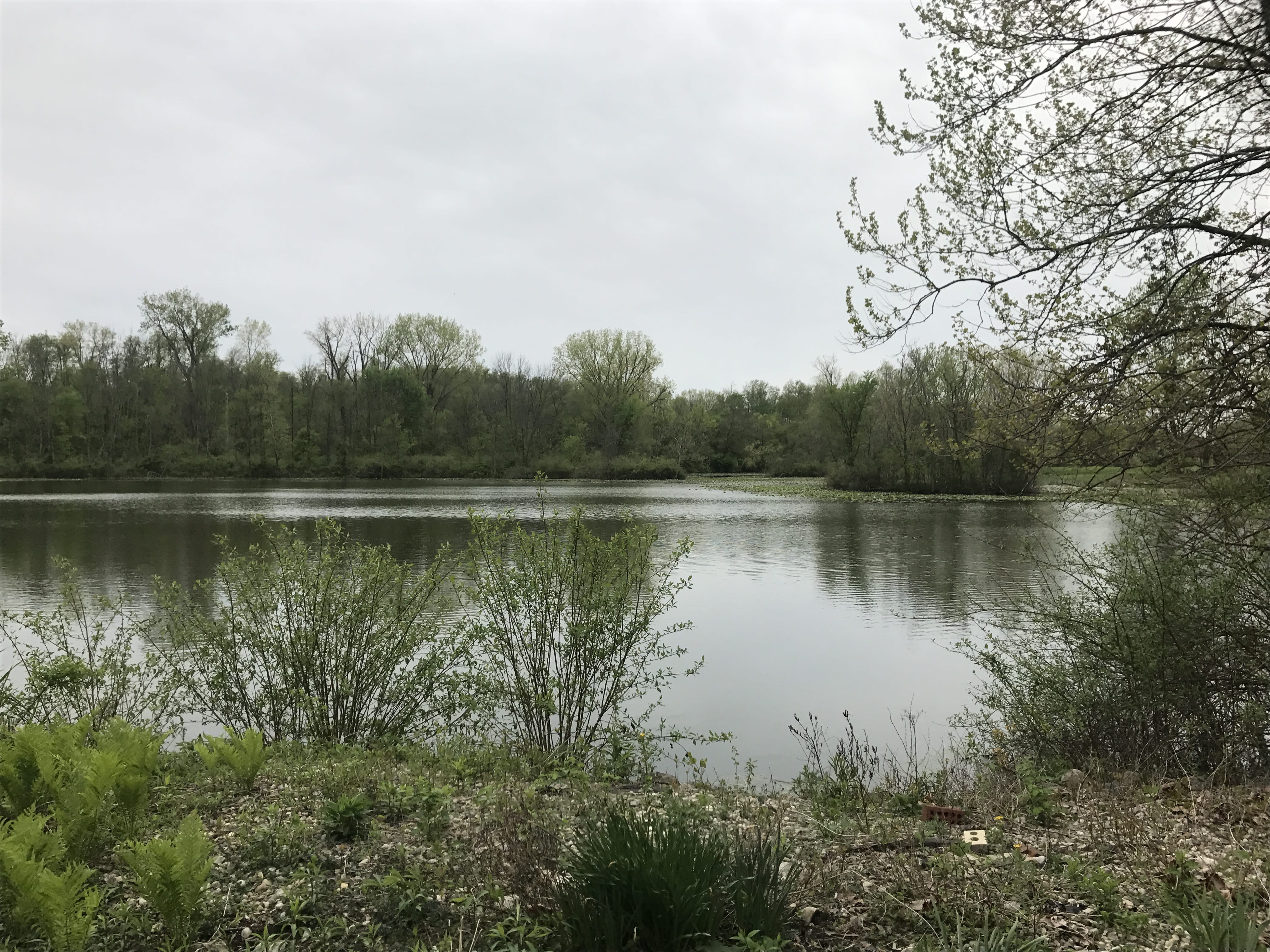 Real Estate Pictures