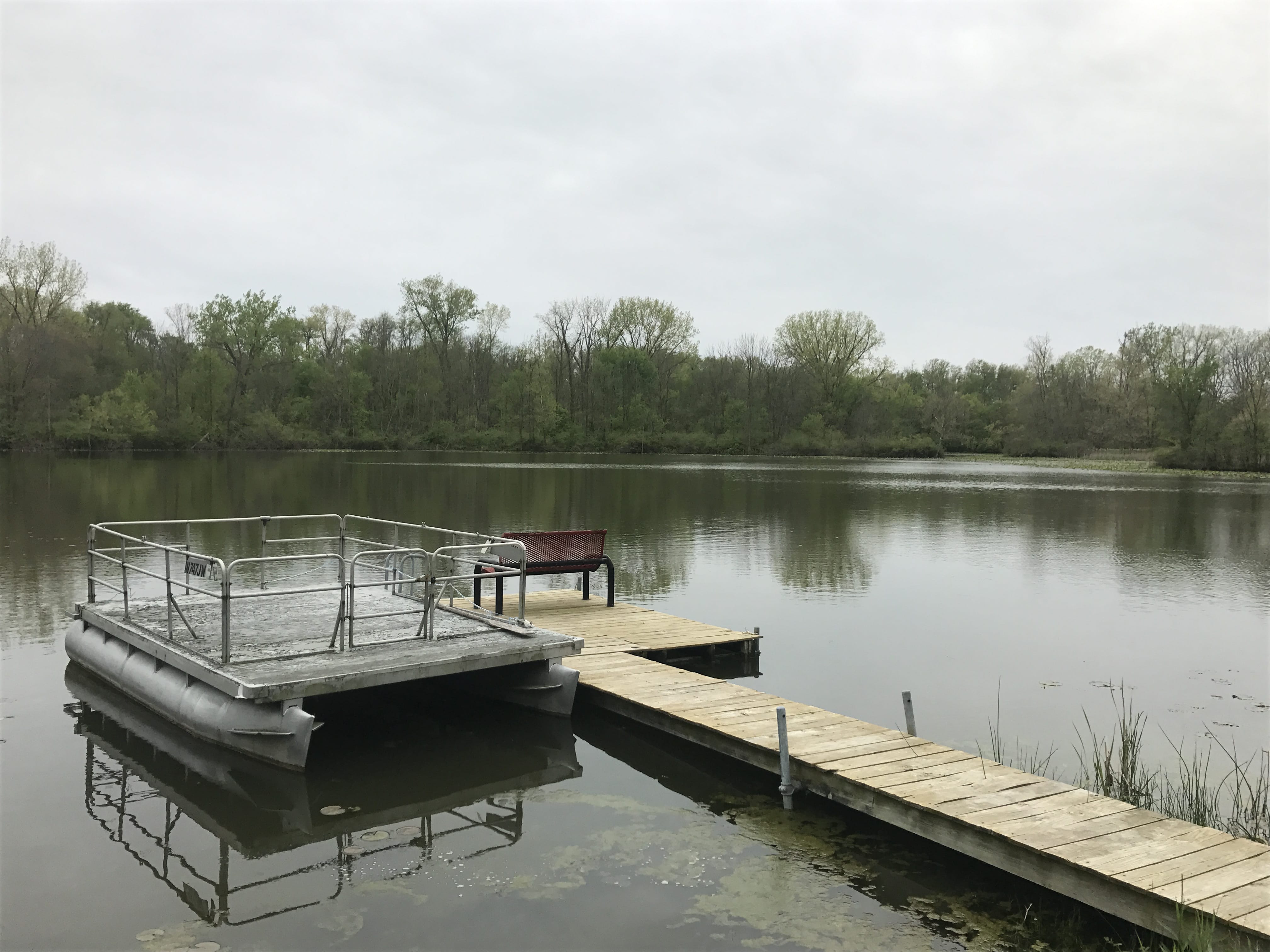 Real Estate Pictures