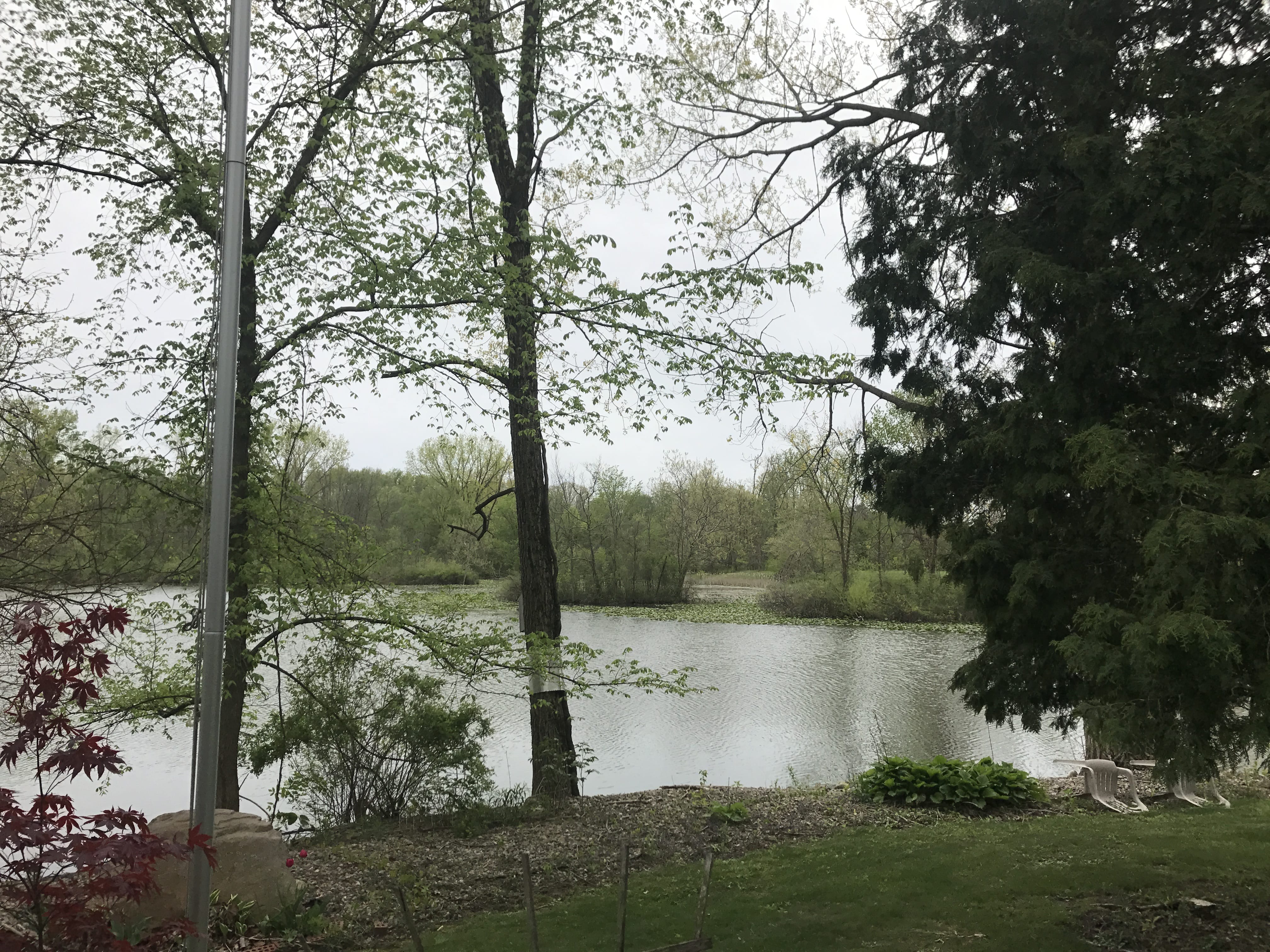 Real Estate Pictures