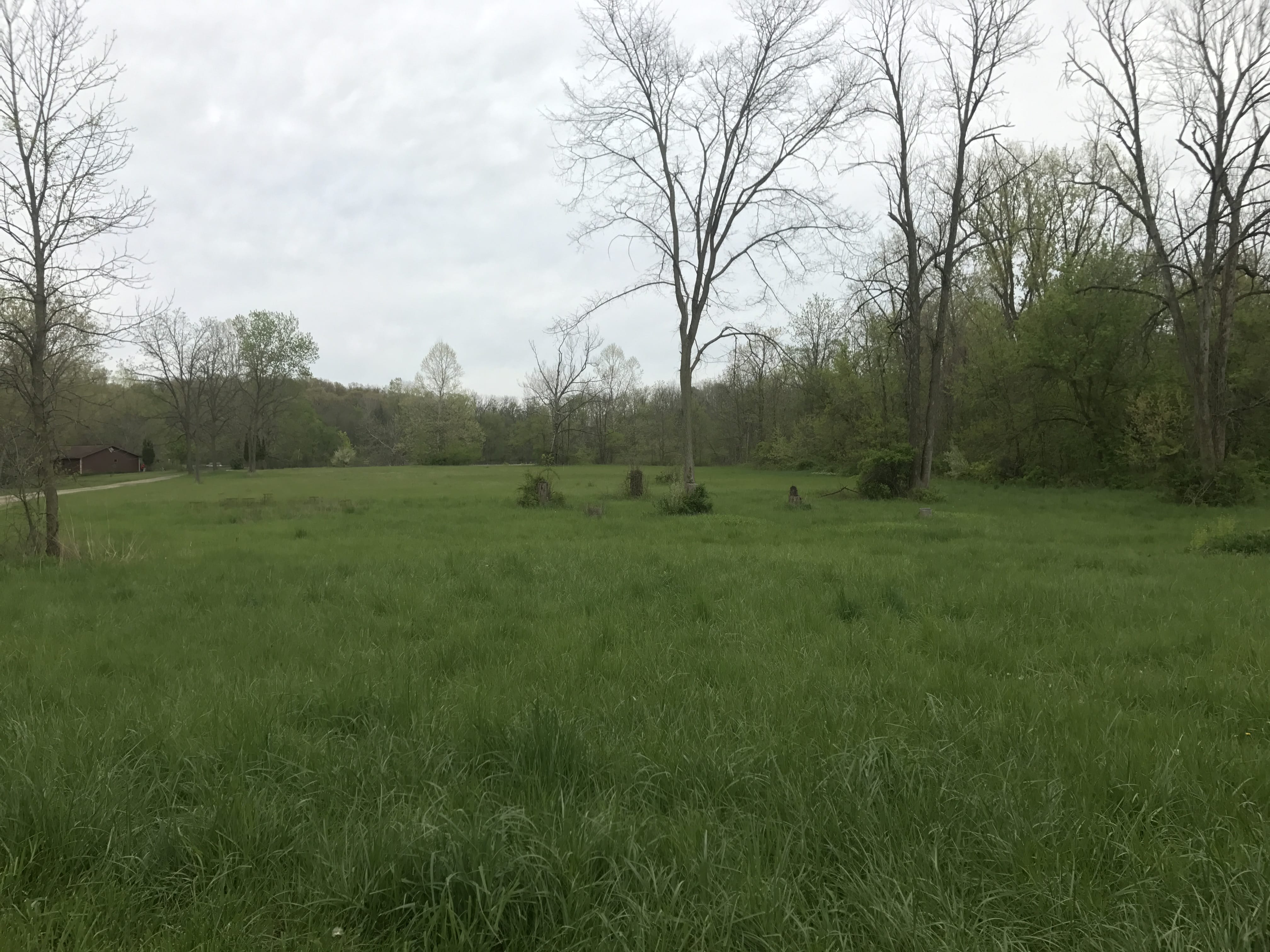 Real Estate Pictures