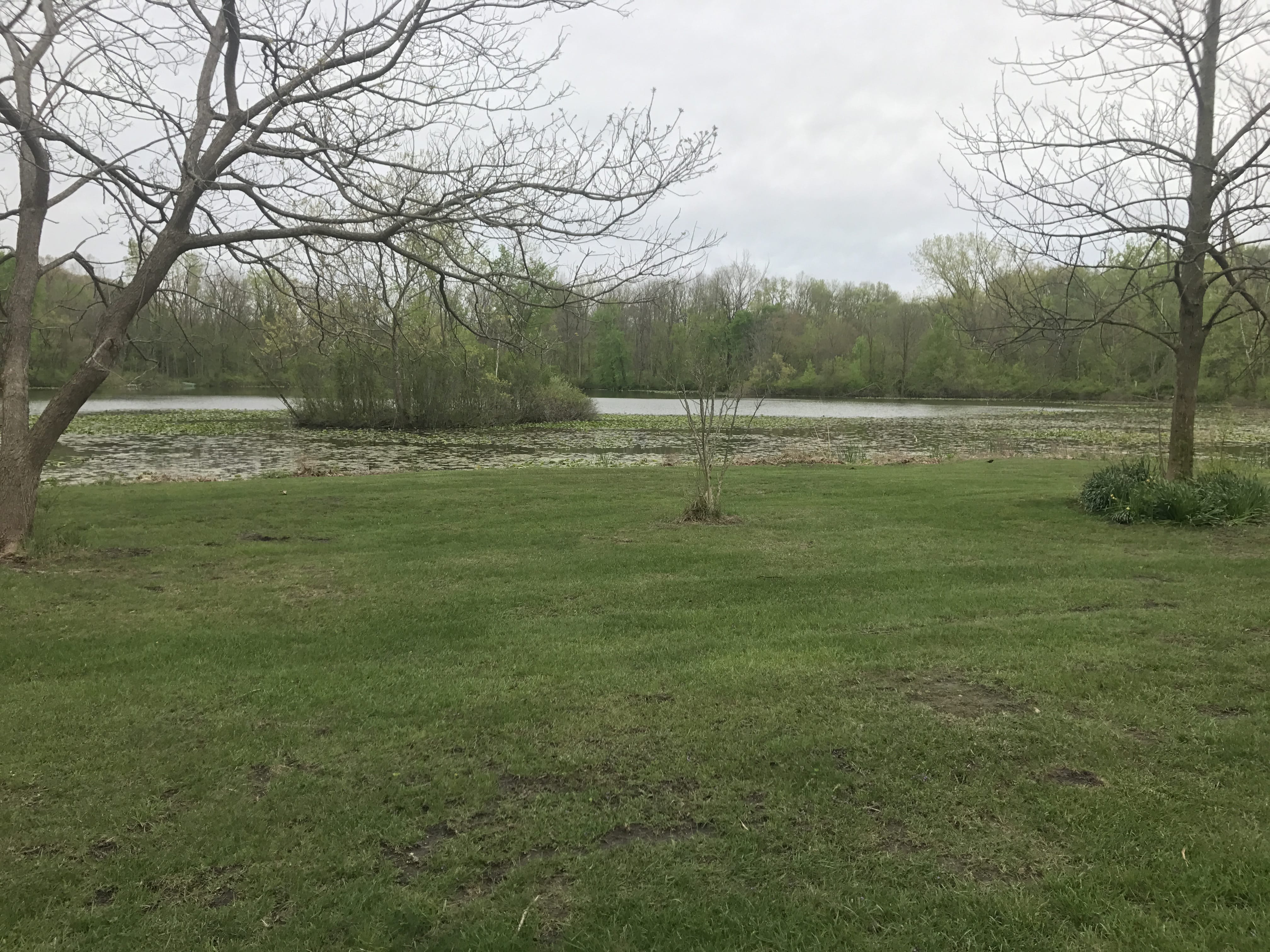 Real Estate Pictures