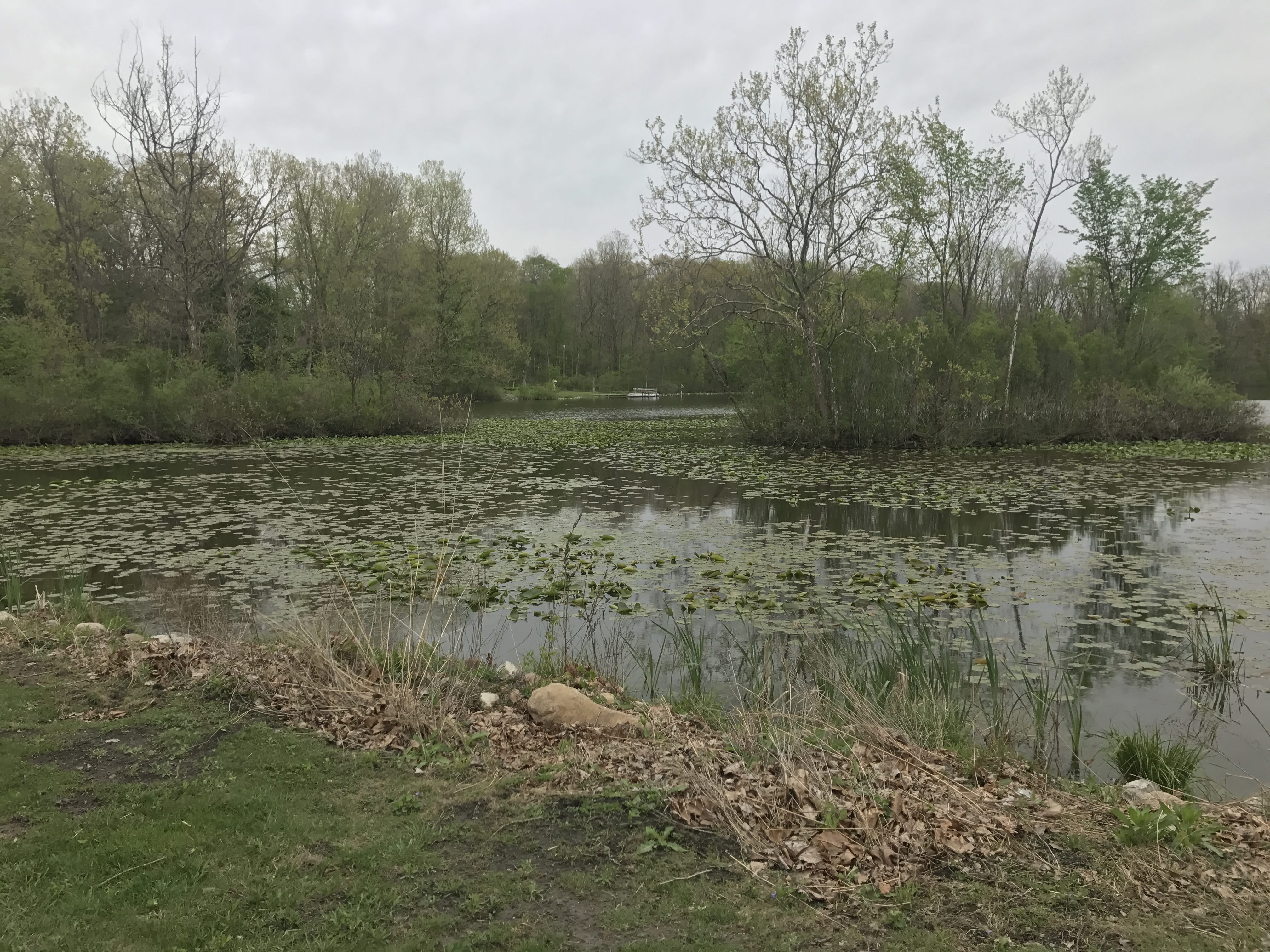 Real Estate Pictures