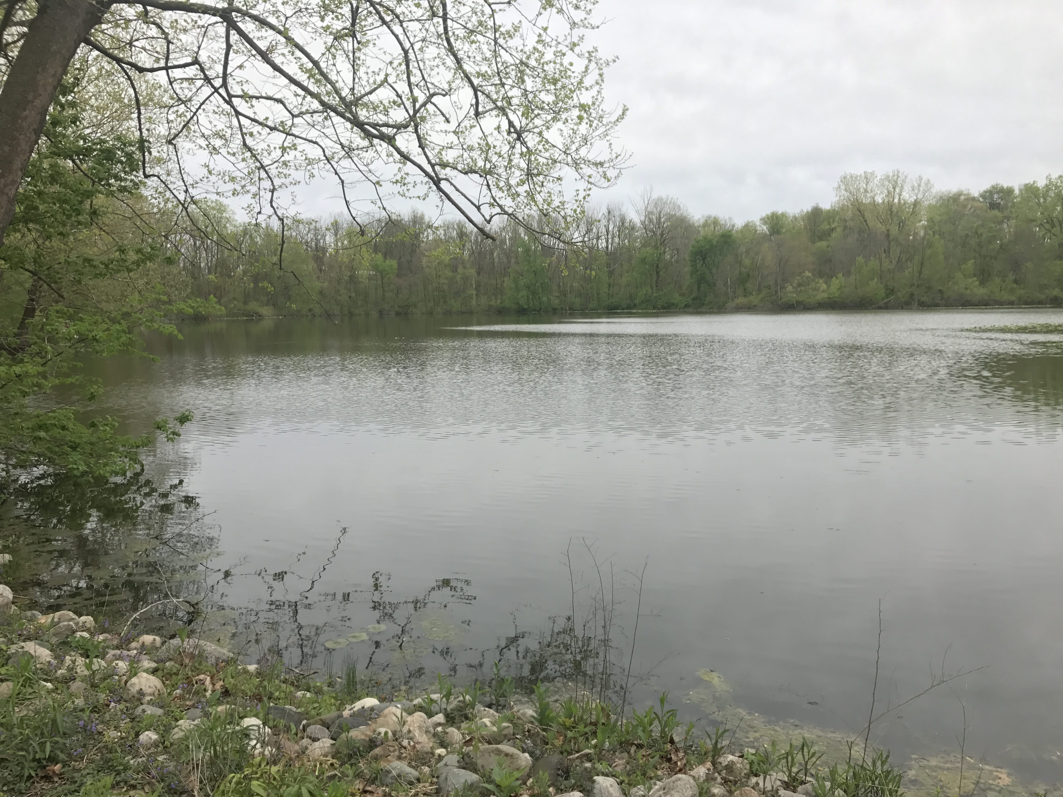 Real Estate Pictures