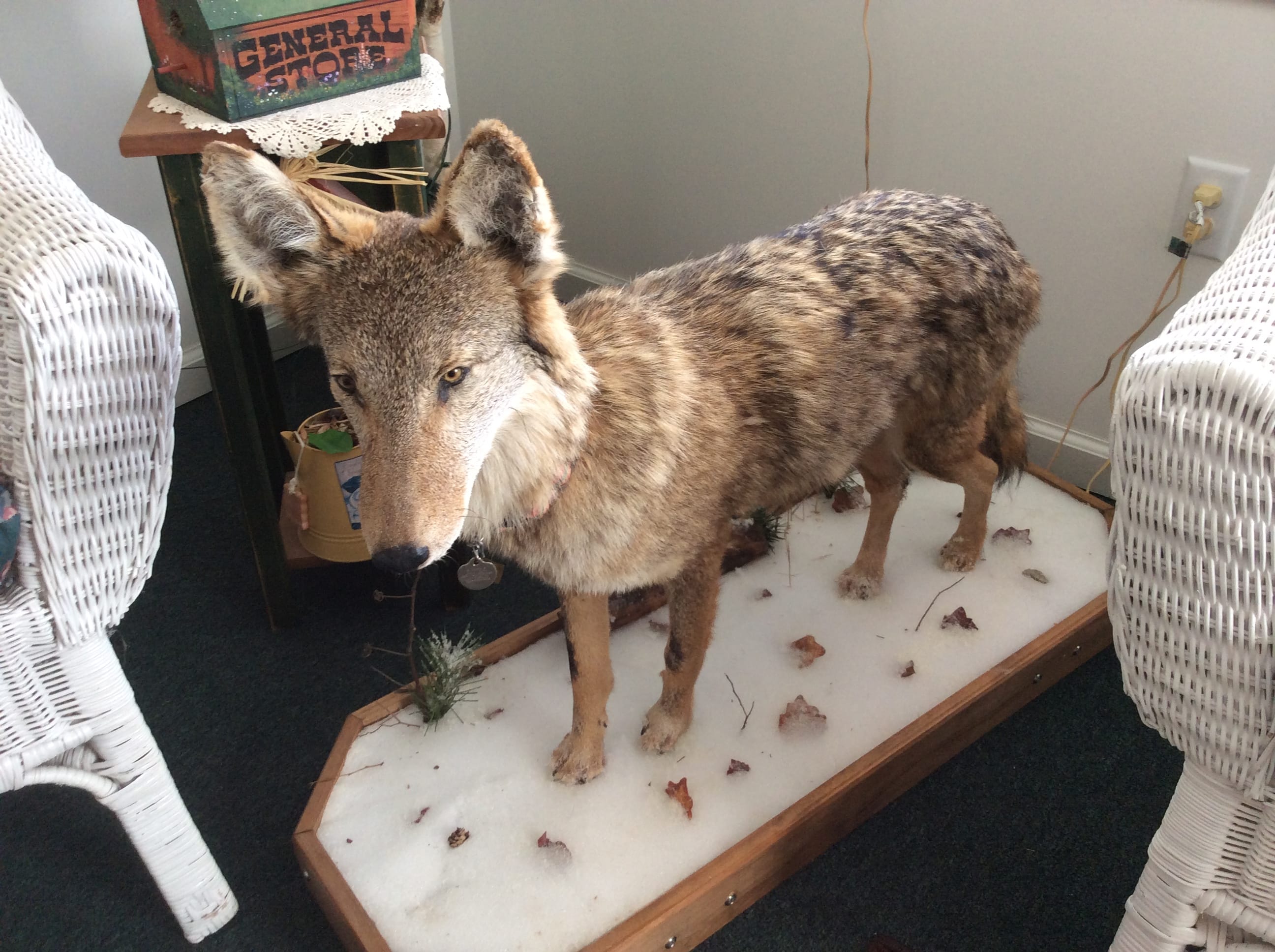 Personal Property Pictures