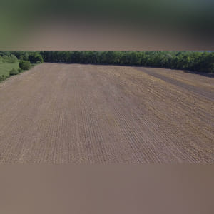 61± acres featuring 51± acres of prime, level, irrigated land