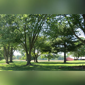 This large 104± acre tract contains an 18-hole, par-72 golf course with a total yardage of 6,535