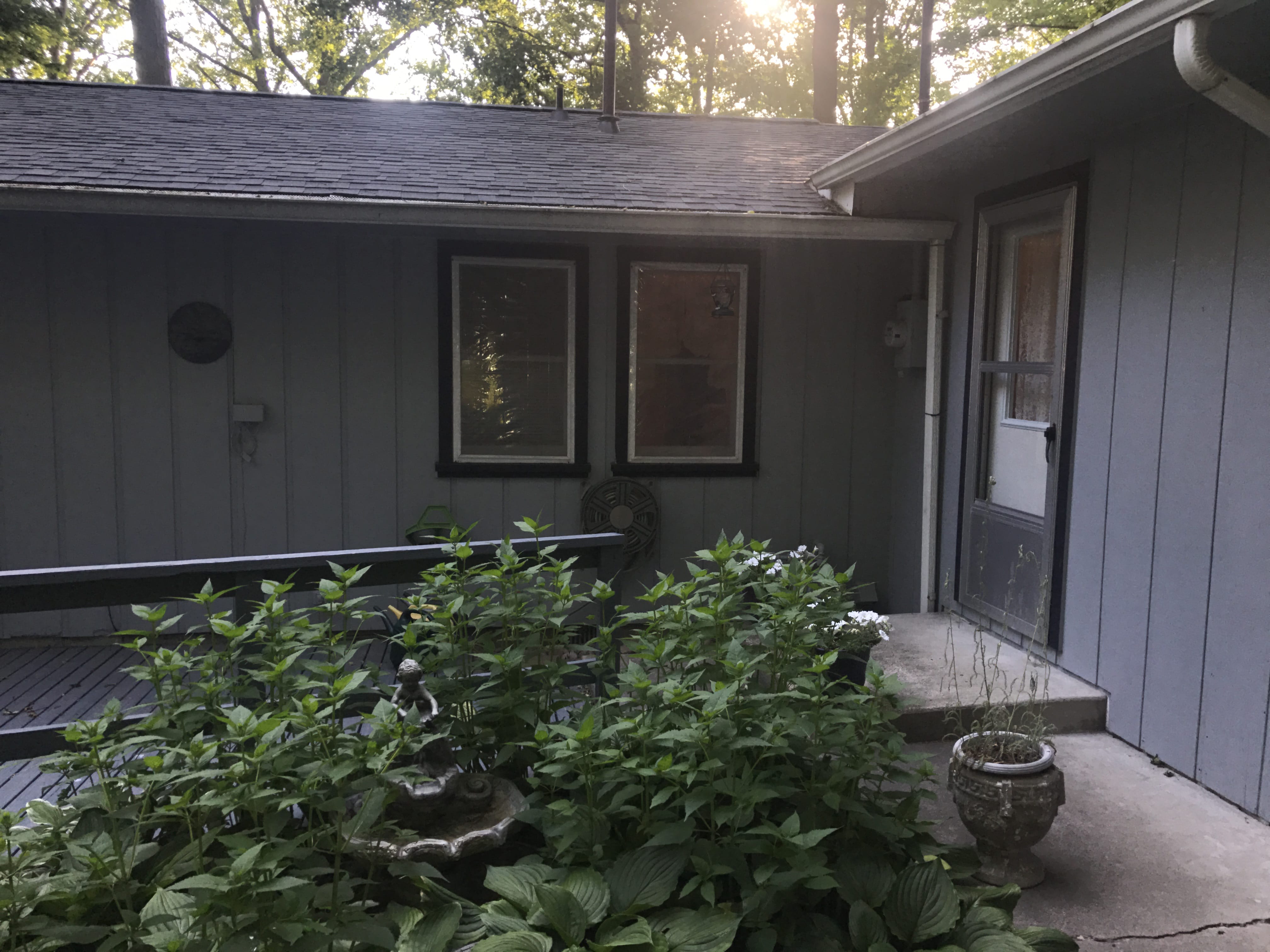 Real Estate Pictures