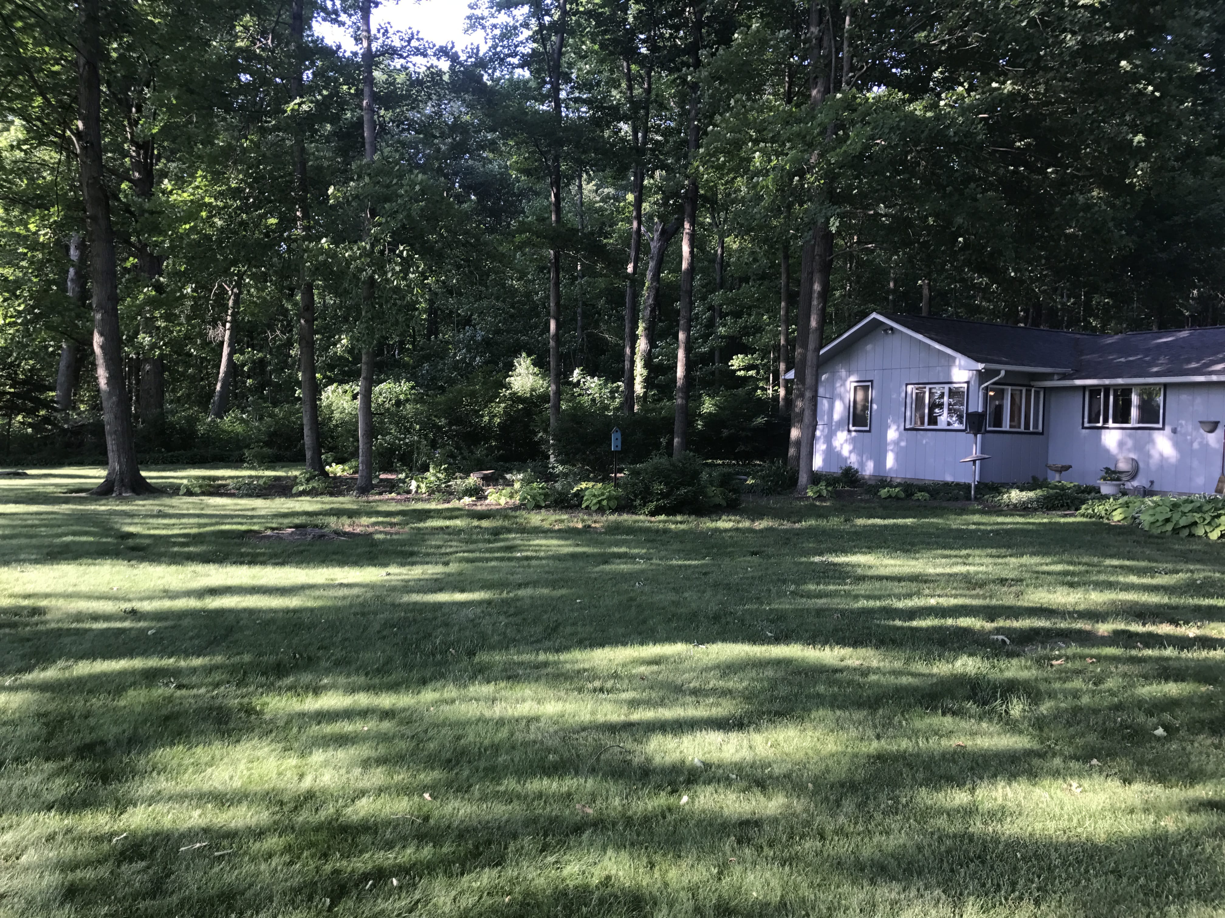 Real Estate Pictures