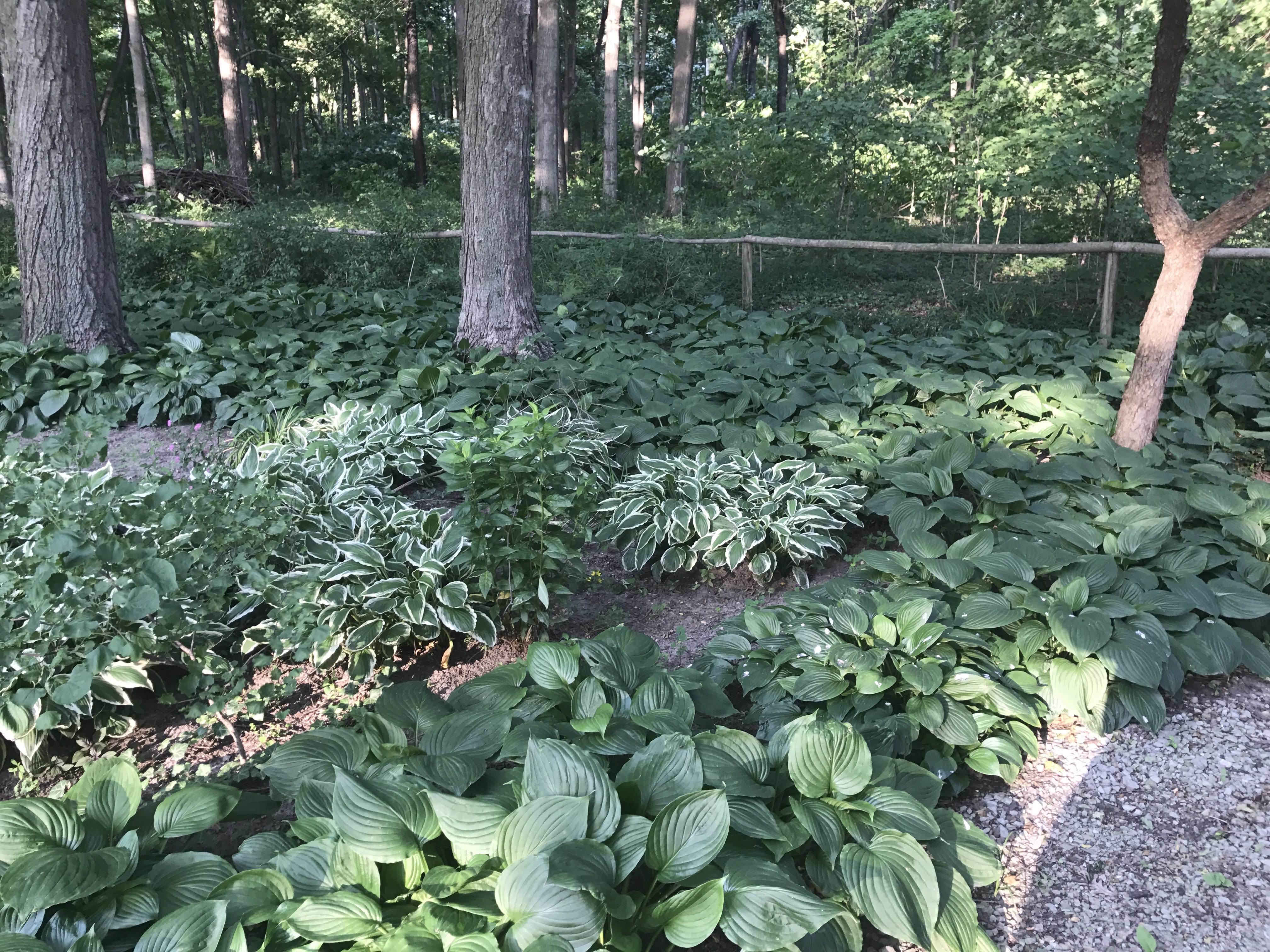 Real Estate Pictures